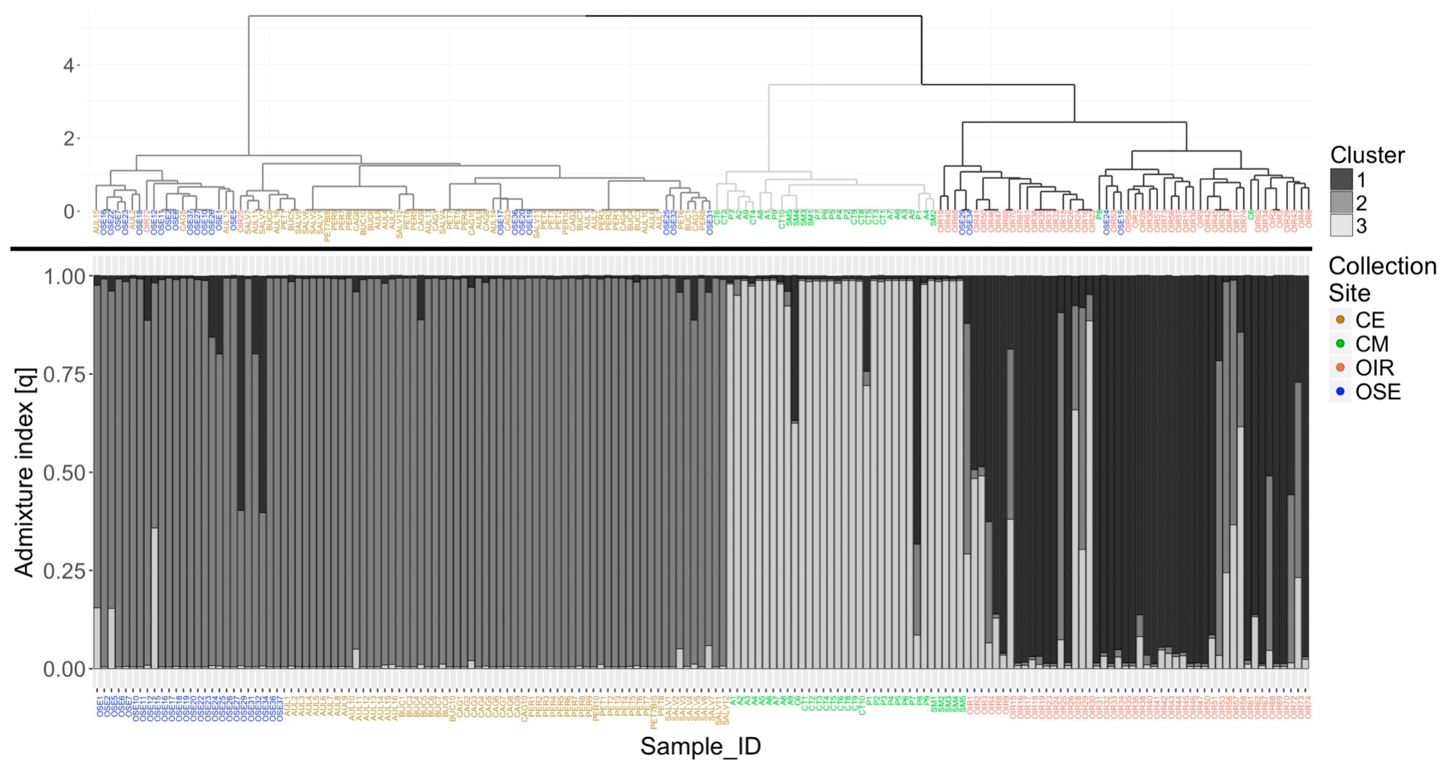 Plants 08 00297 g002