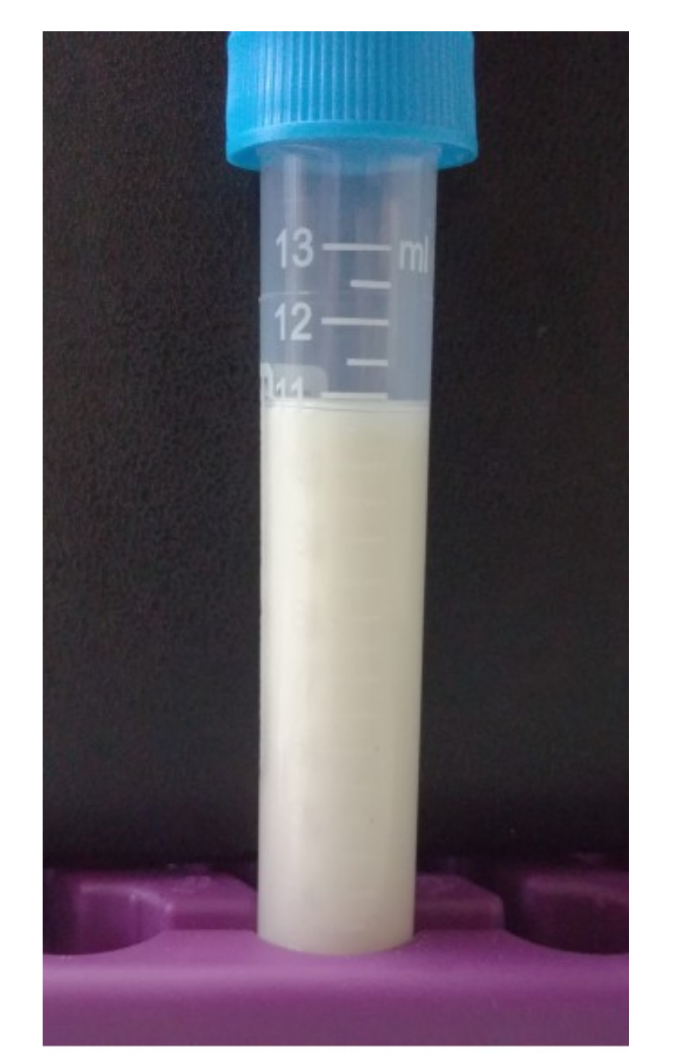 Plants 08 00300 g002