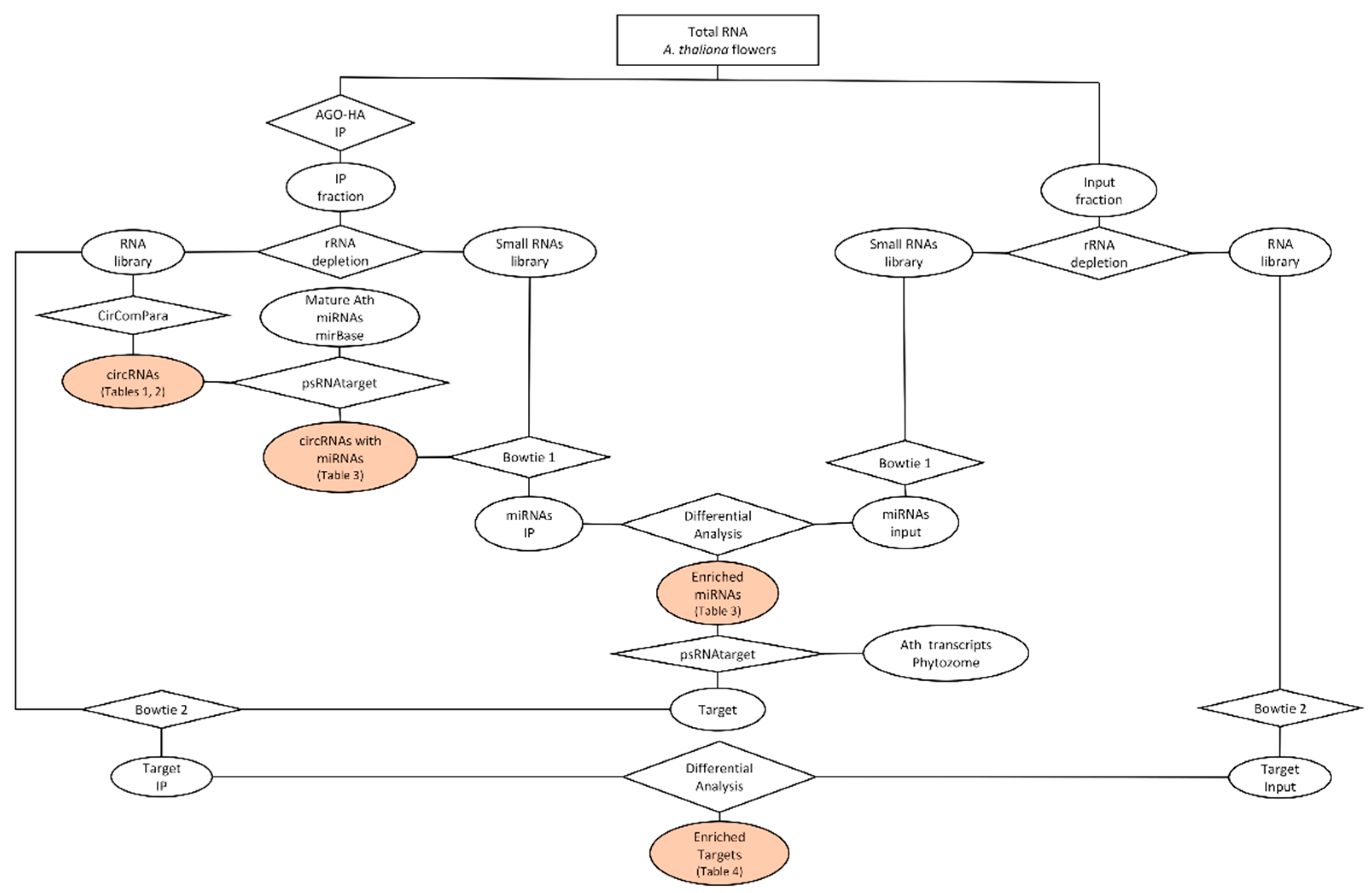 Plants 08 00302 g001 Plants 08 00302 g001
