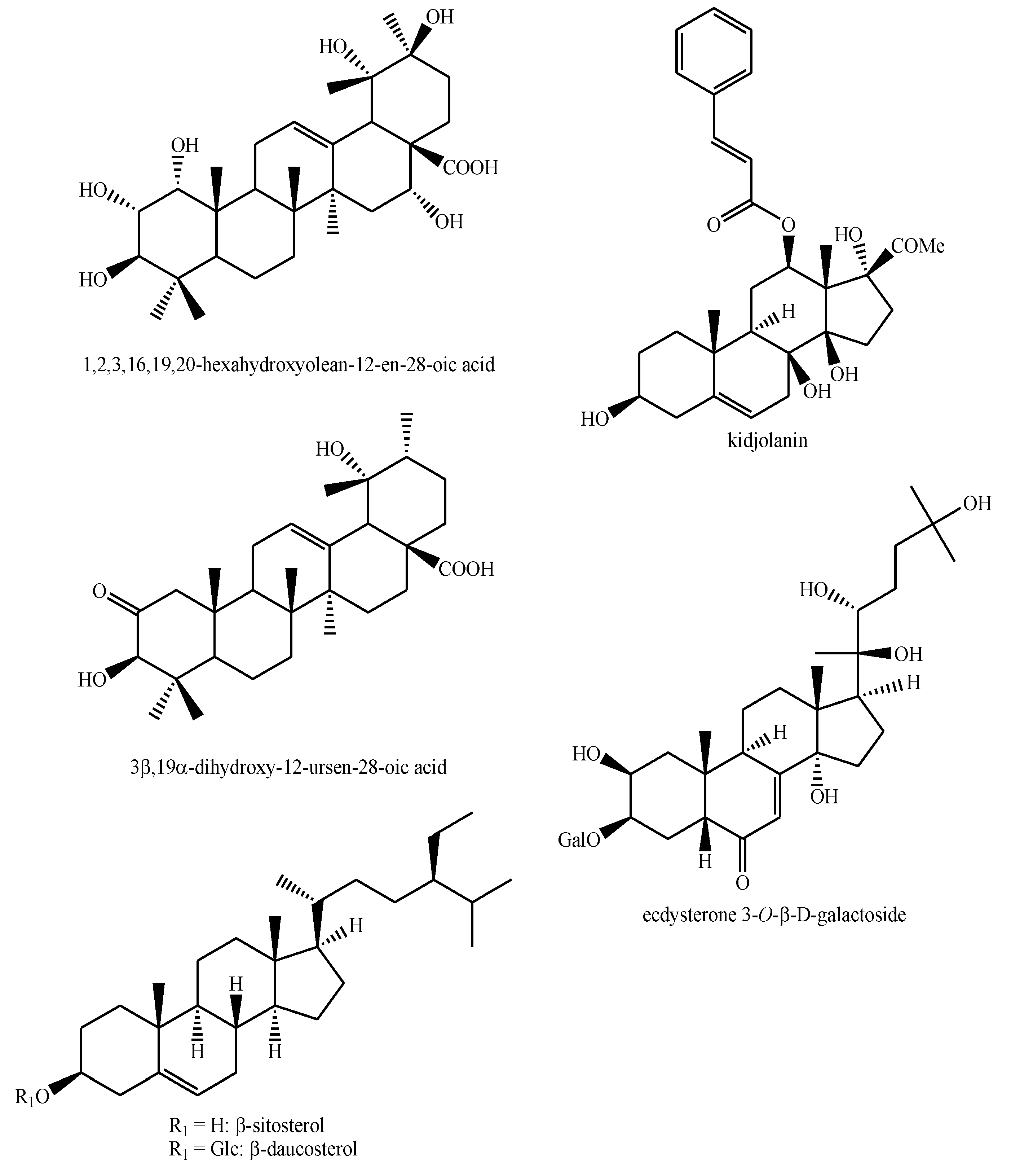 Plants 08 00306 g004 Plants 08 00306 g004
