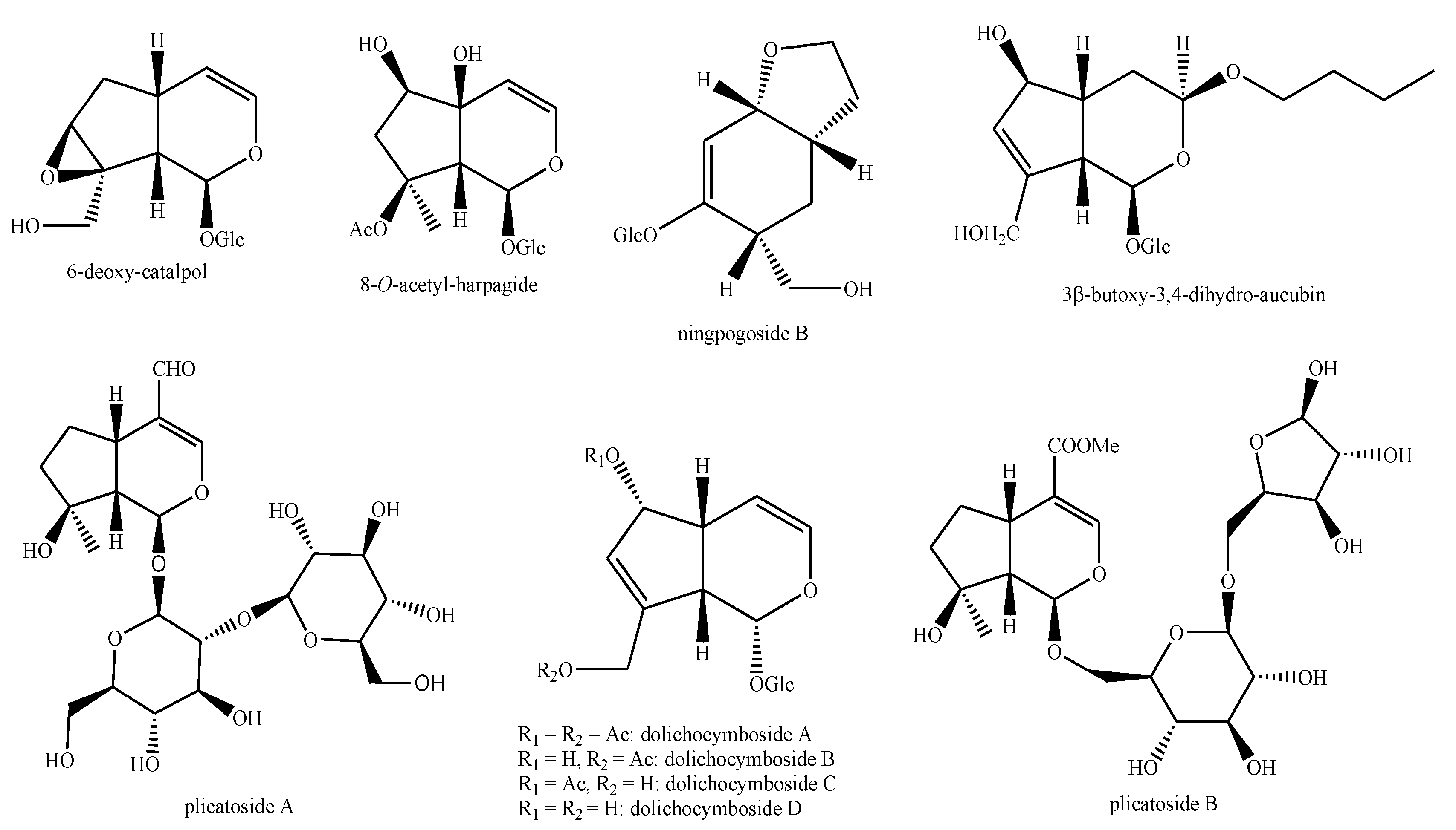 Plants 08 00306 g017 Plants 08 00306 g017