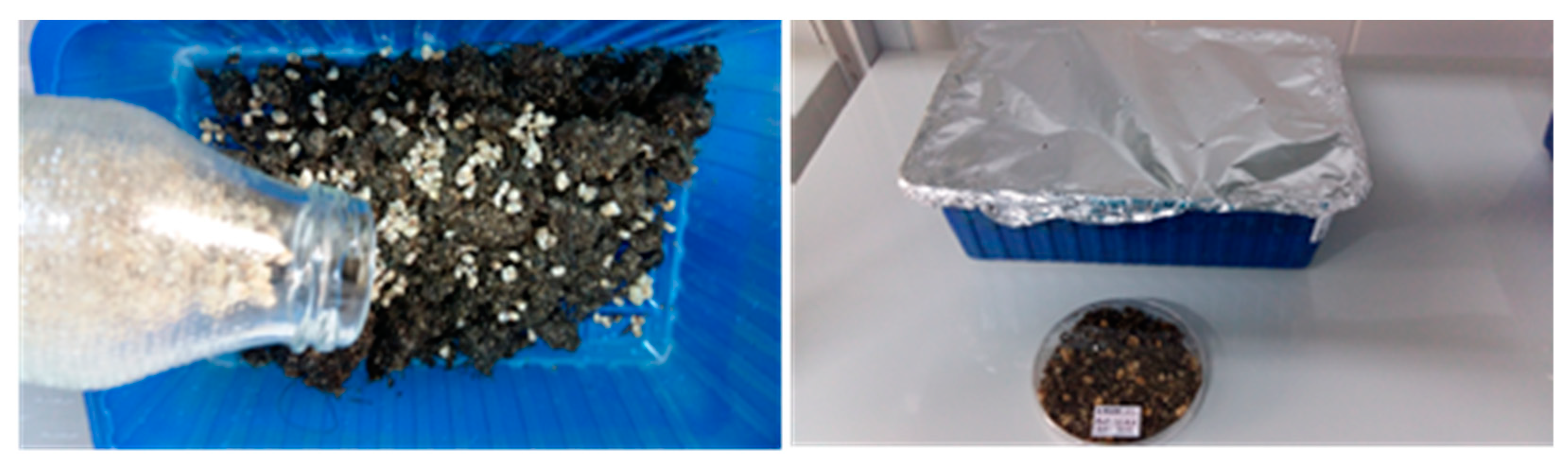 Plants 08 00316 g0a3