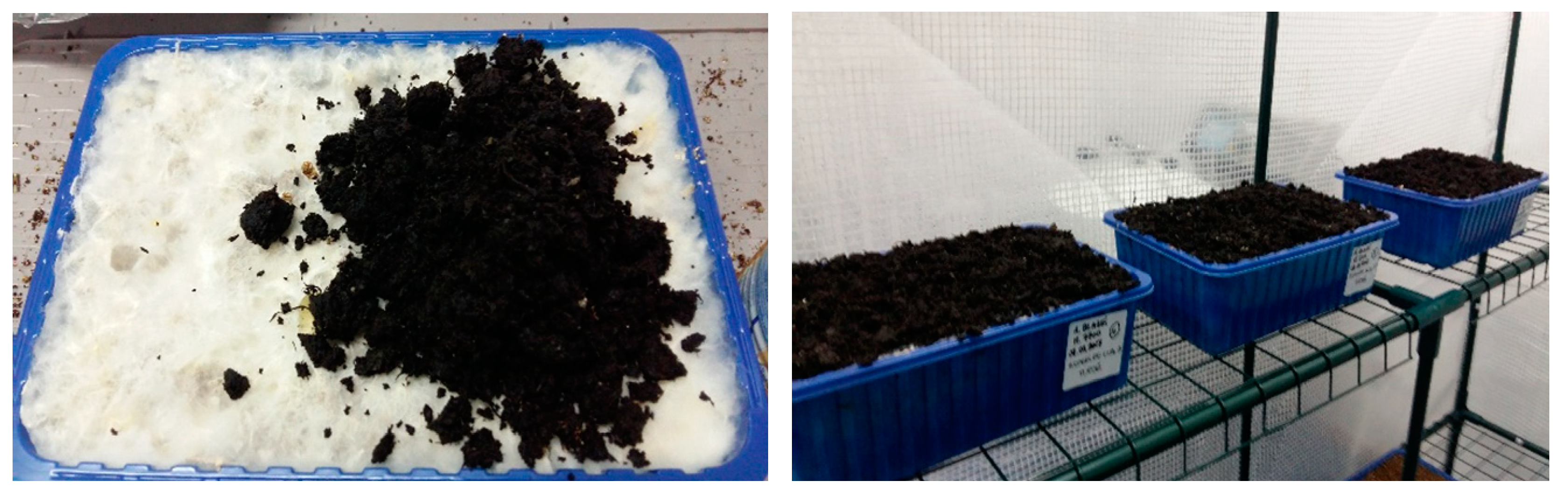 Plants 08 00316 g0a5