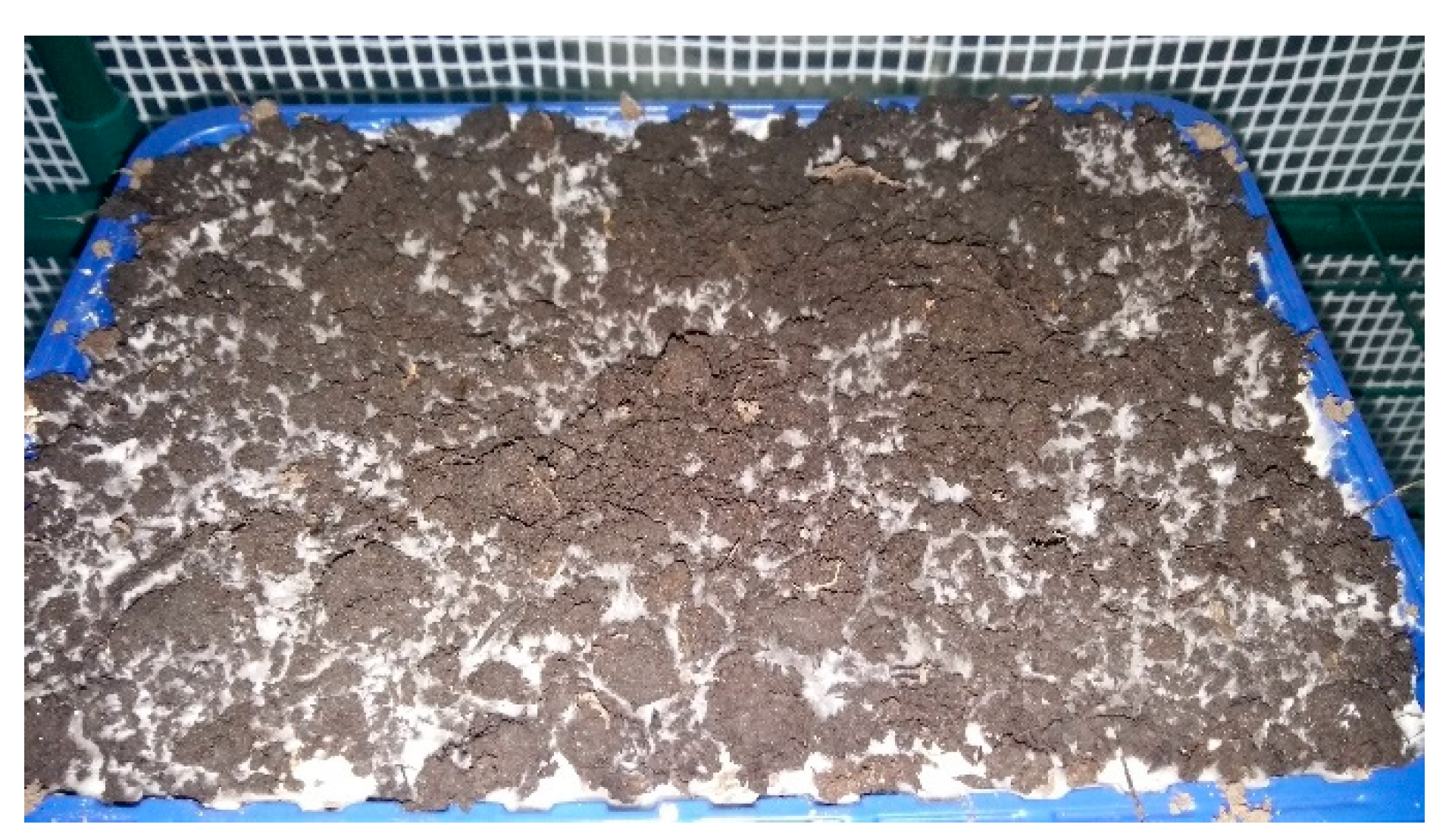 Plants 08 00316 g0a6