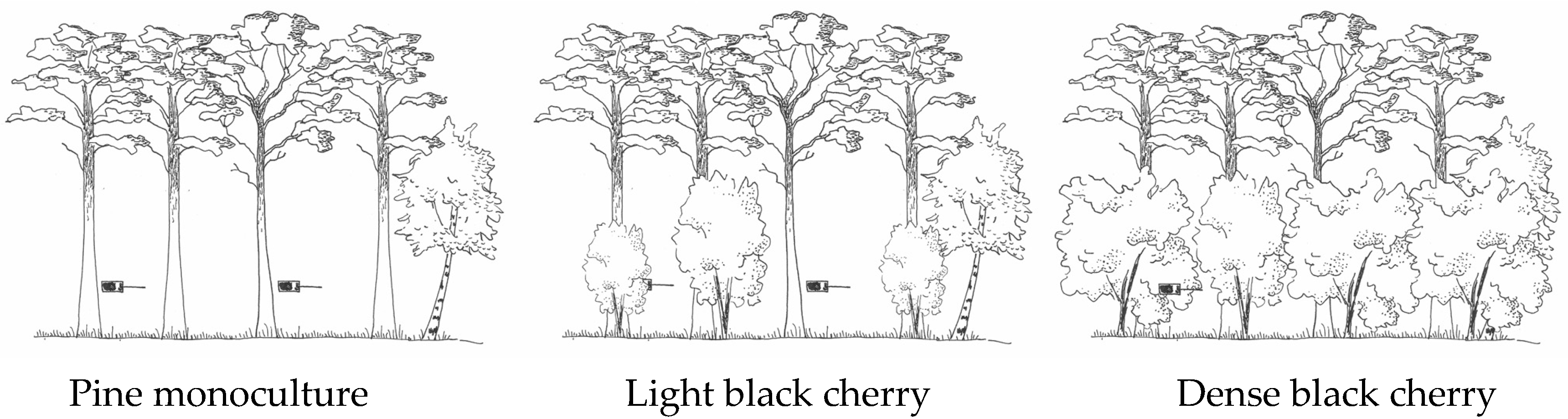 Plants 08 00320 g001