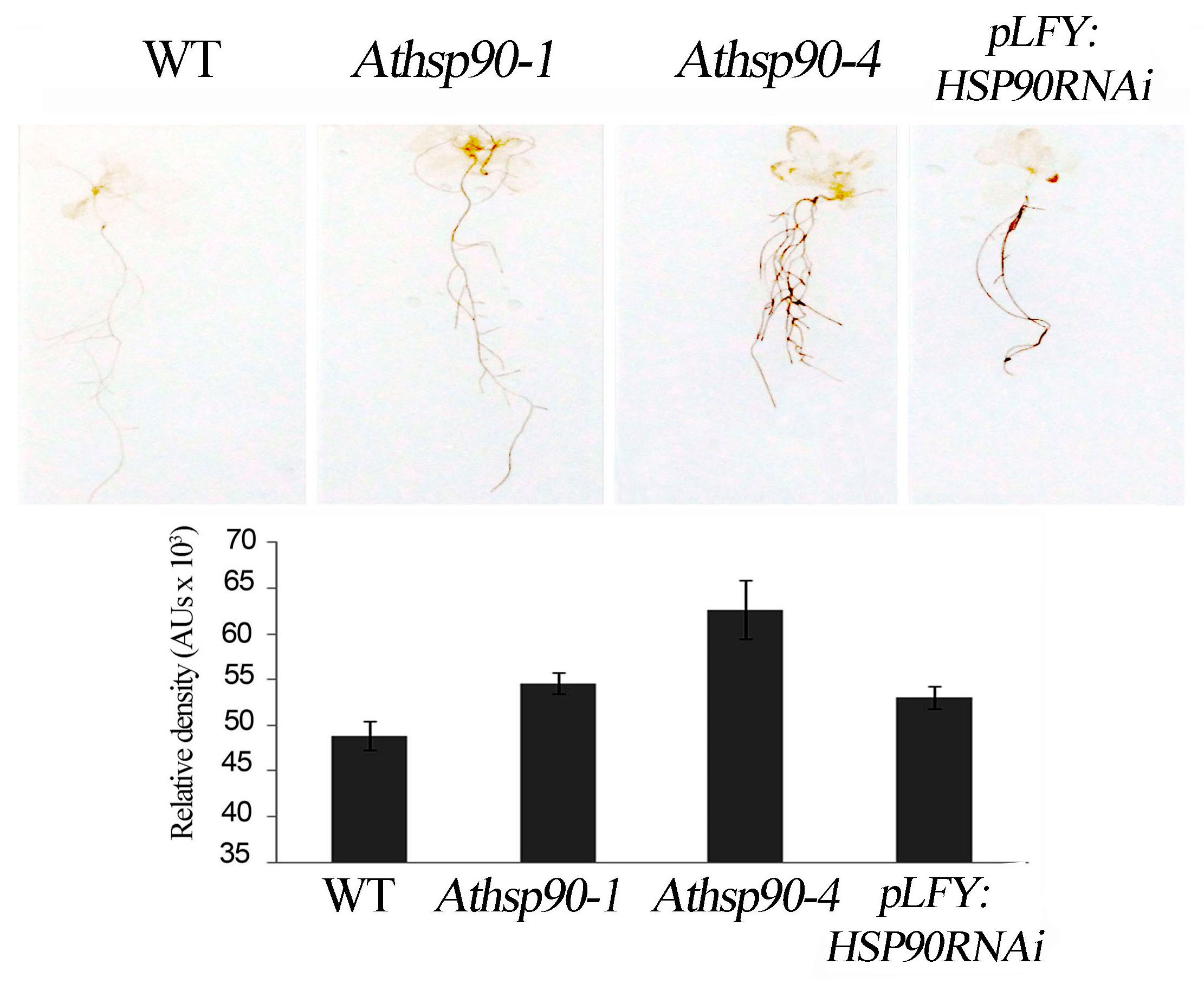 Plants 08 00323 g002