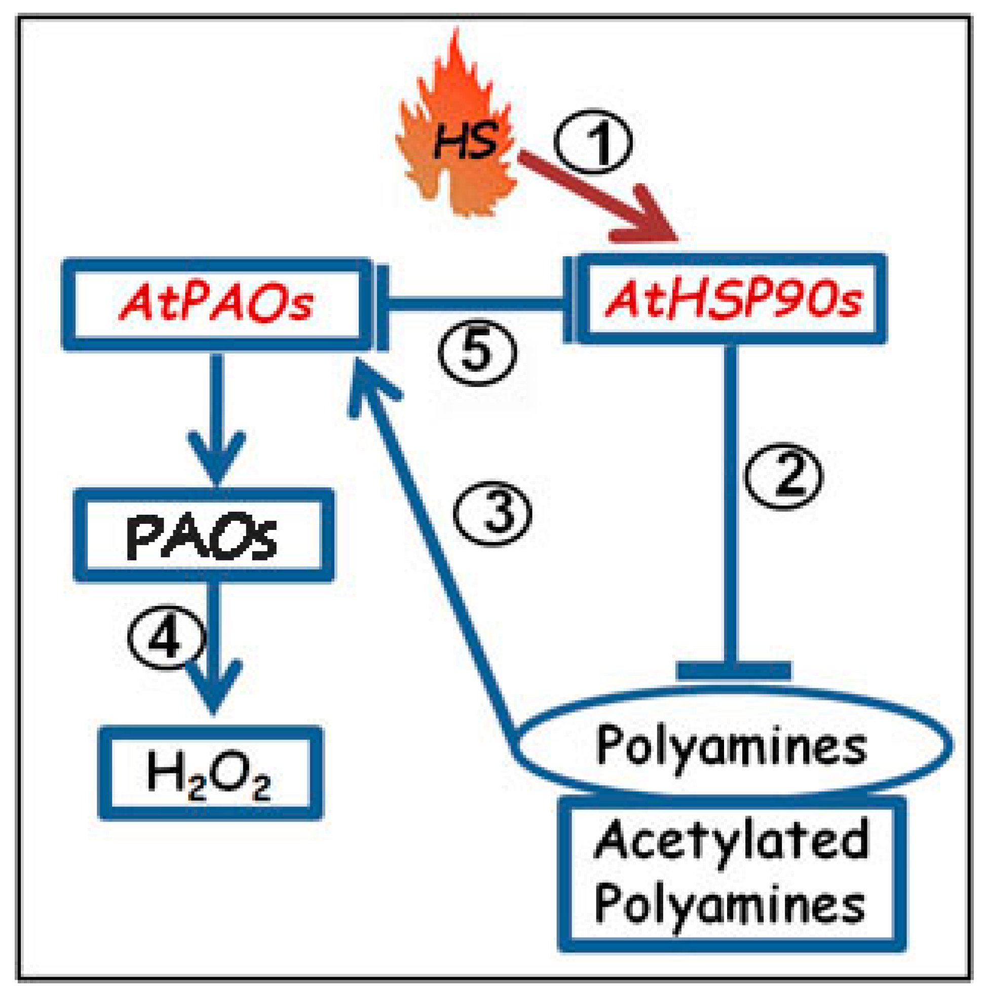 Plants 08 00323 g007