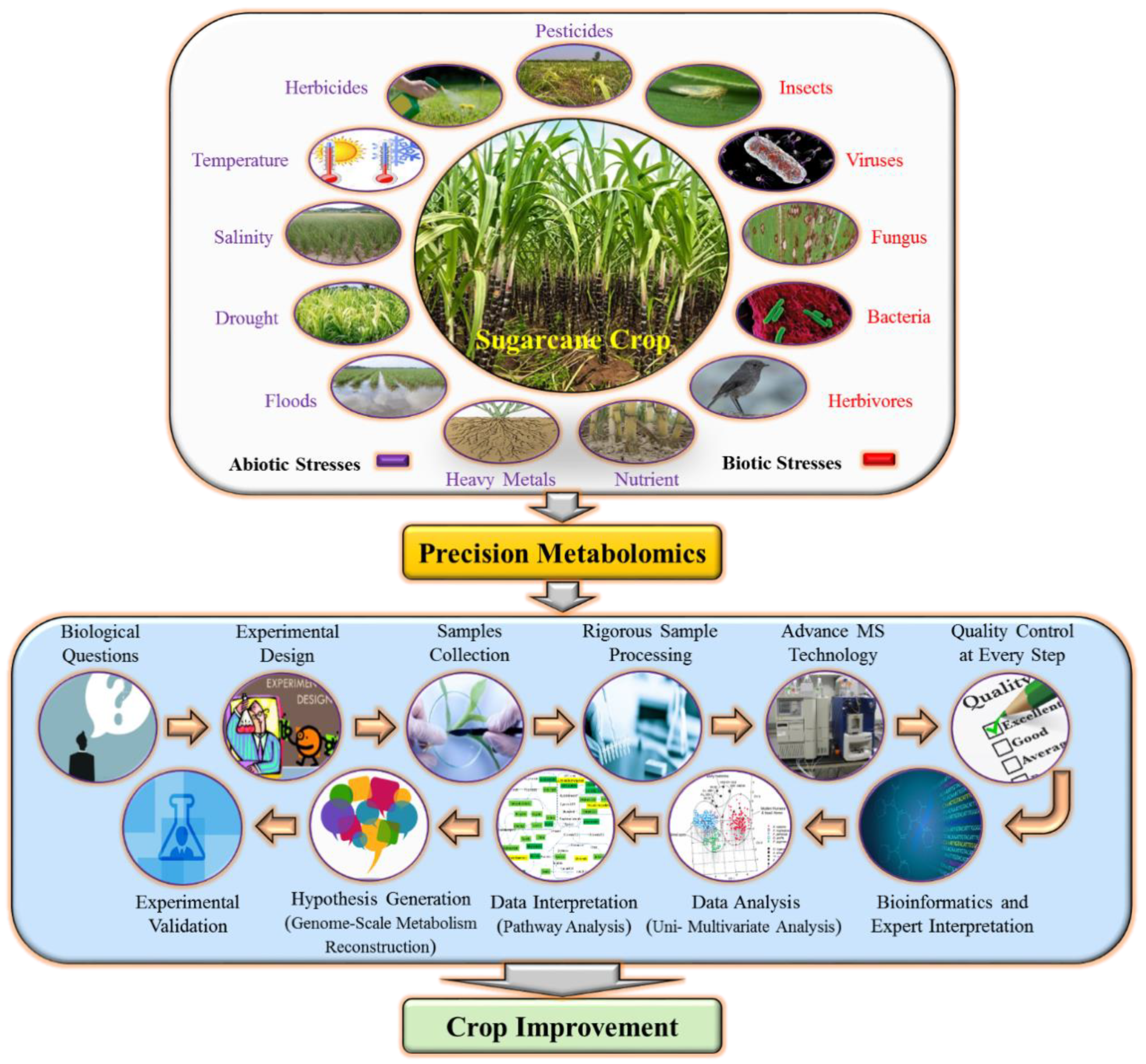 Plants 08 00344 g004