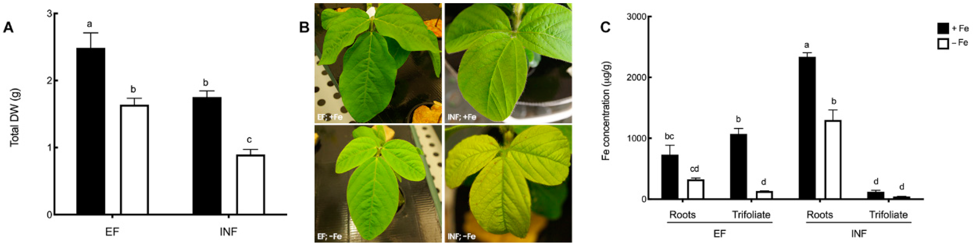 Plants 08 00348 g002