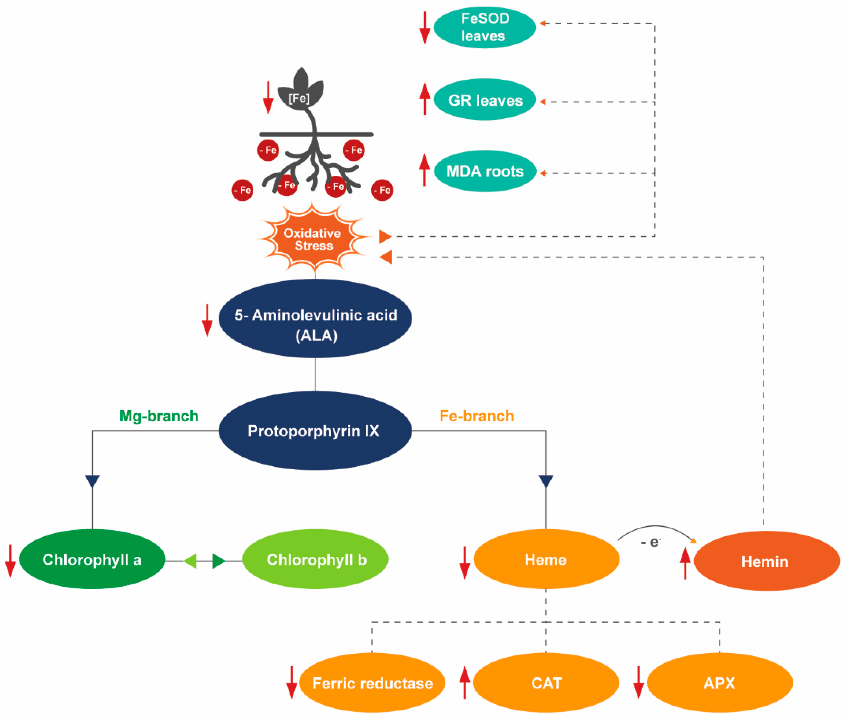 Plants 08 00348 g011