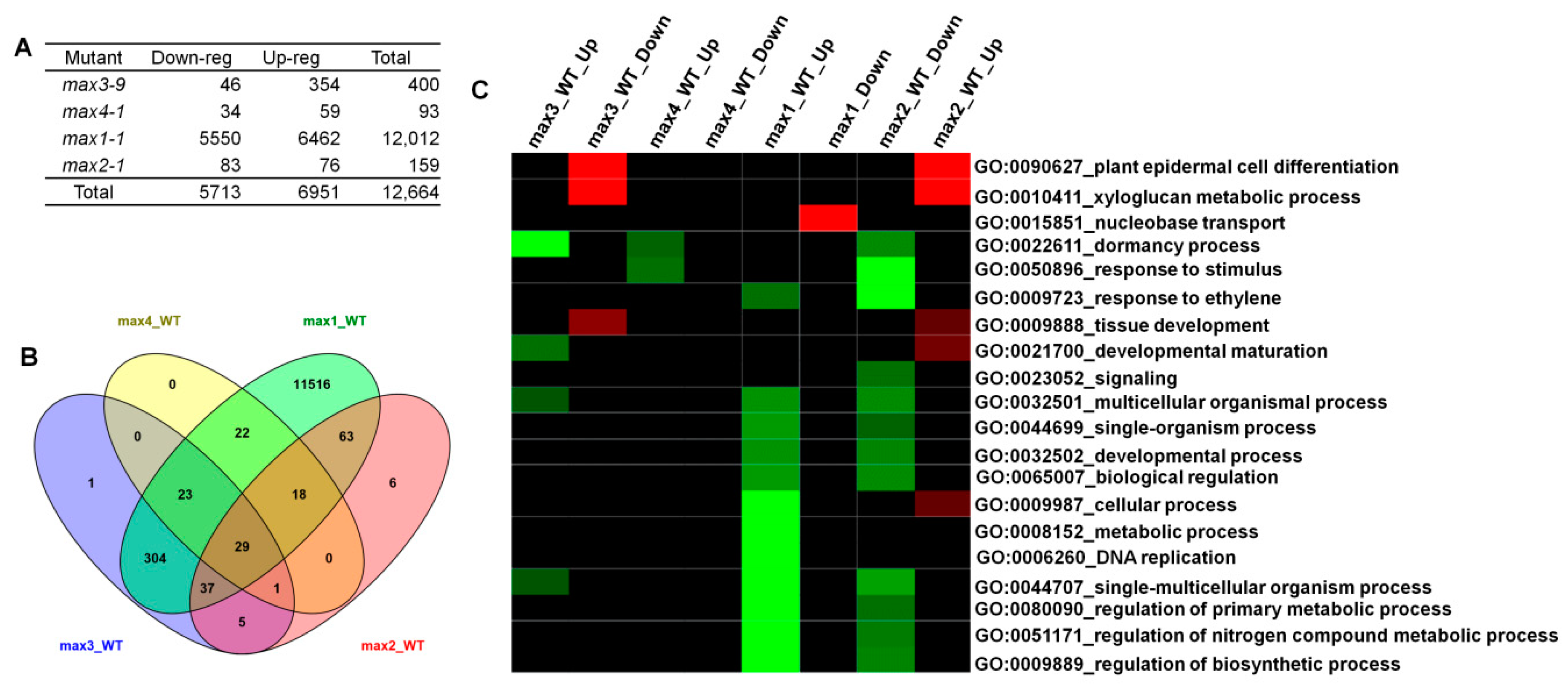 Plants 08 00352 g002