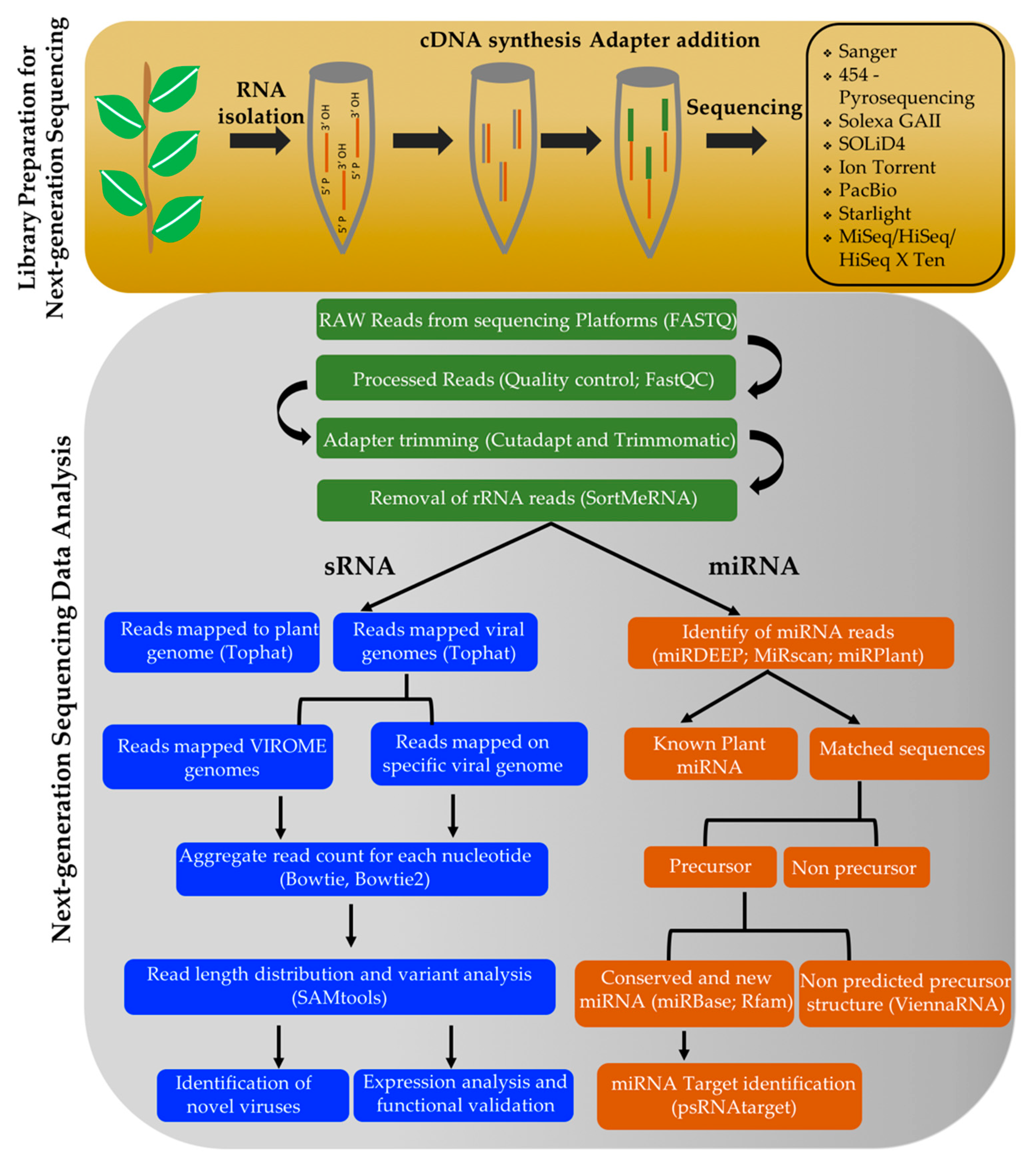Plants 08 00359 g003
