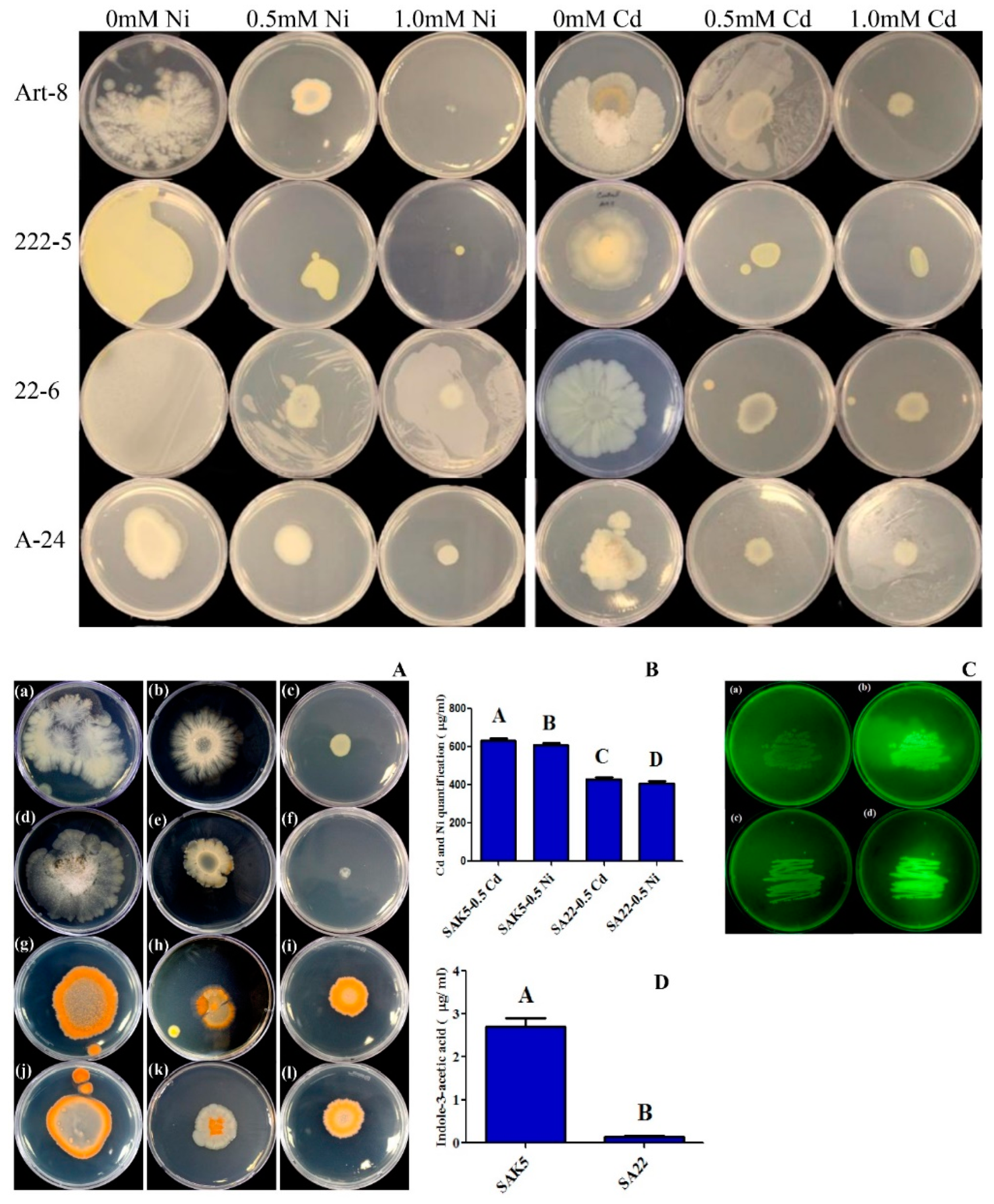 Plants 08 00363 g001 Plants 08 00363 g001