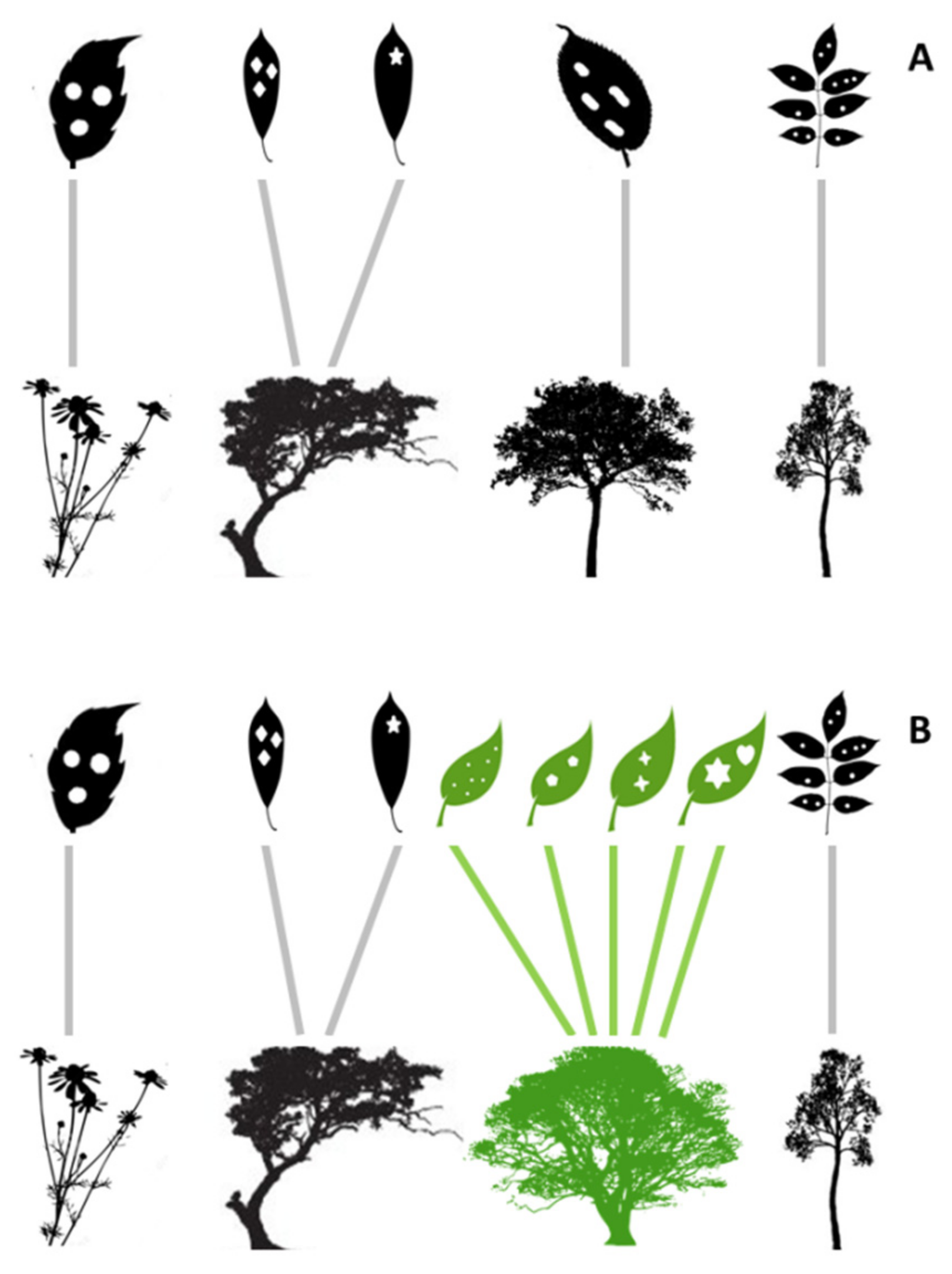 Plants 08 00369 g001 550