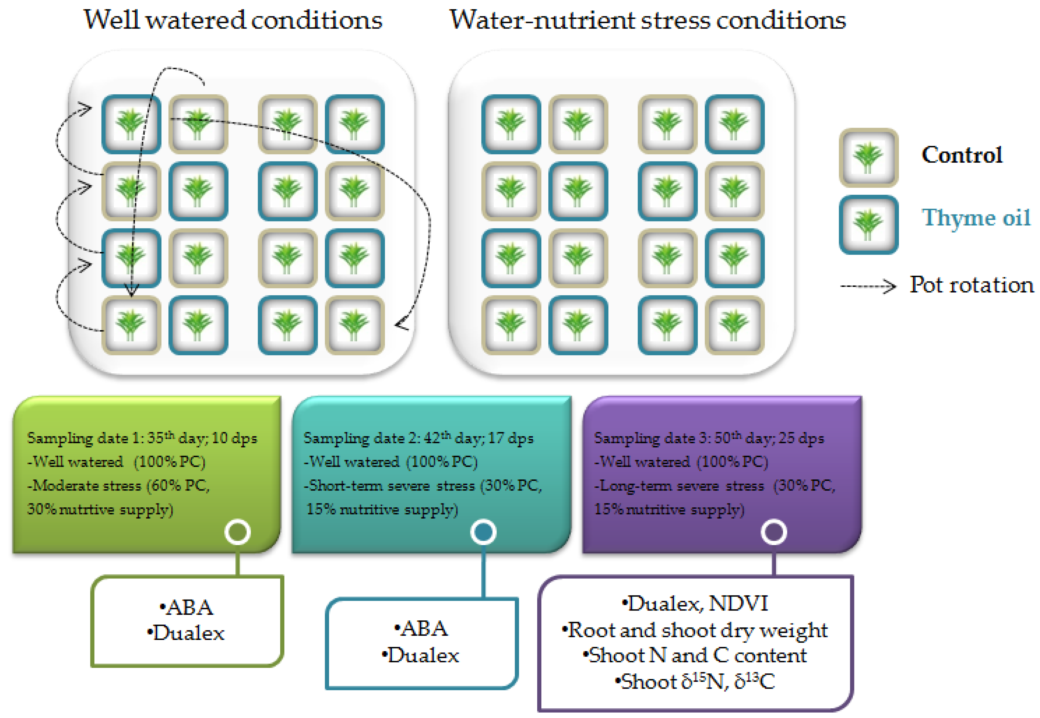 Plants 08 00371 sch001 Plants 08 00371 sch001