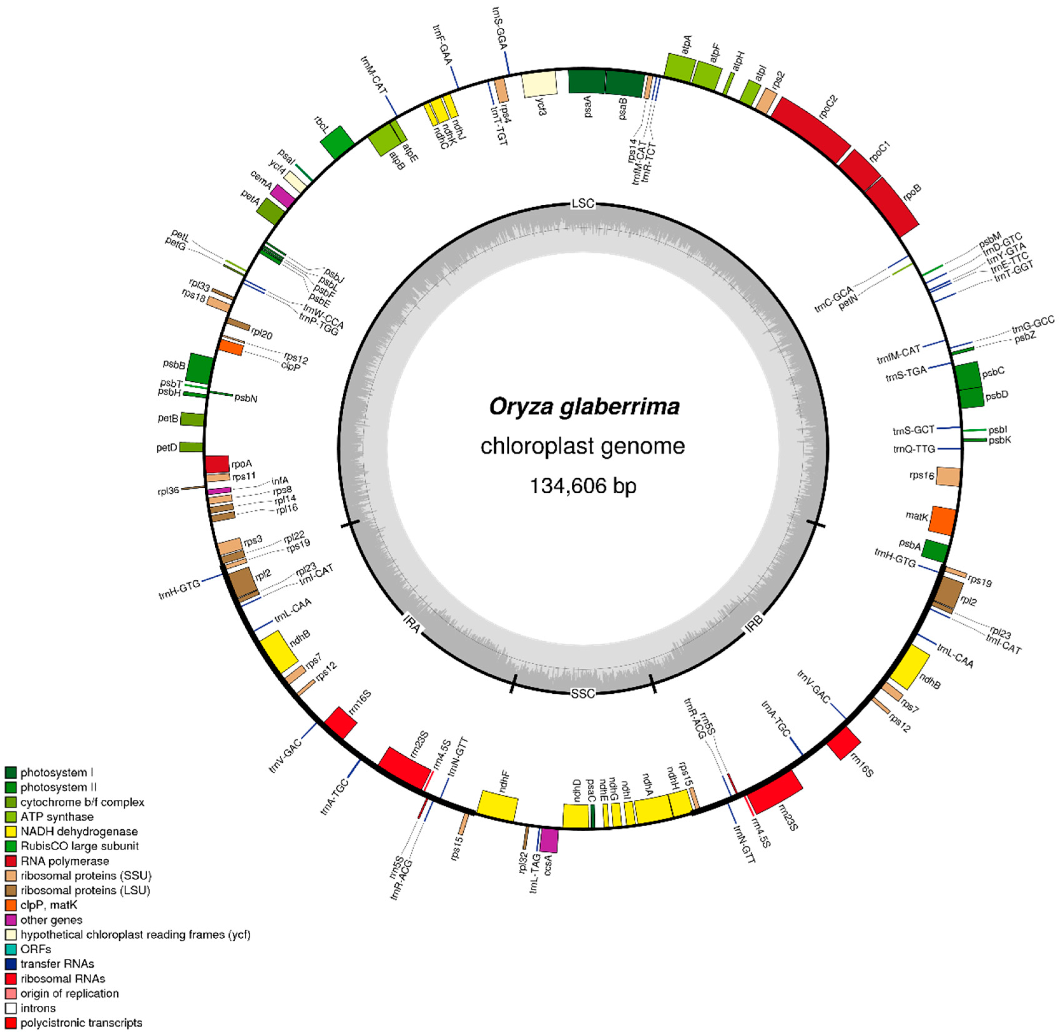 Plants 08 00376 g001