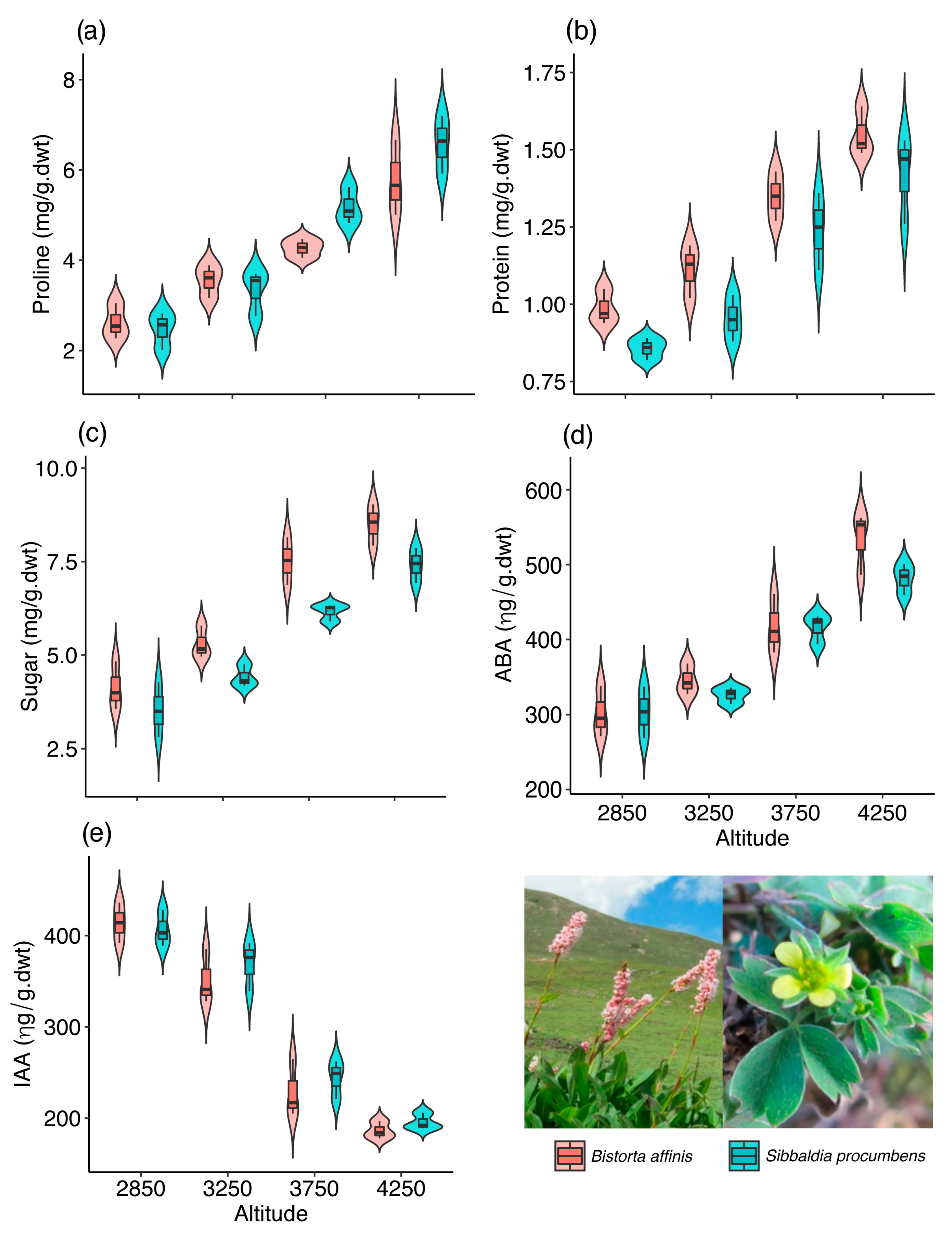 Plants 08 00378 g001 550