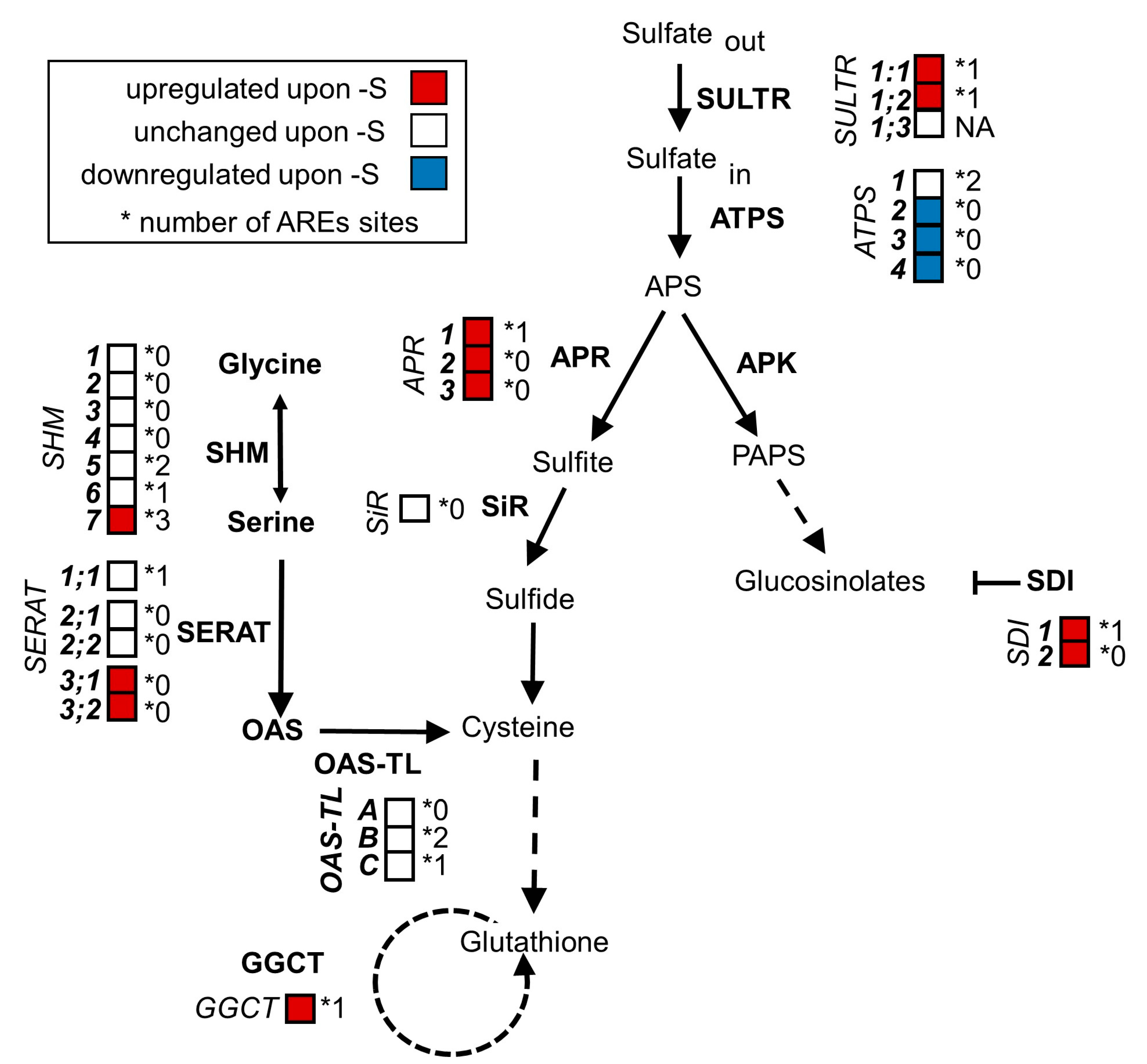 Plants 08 00380 g001