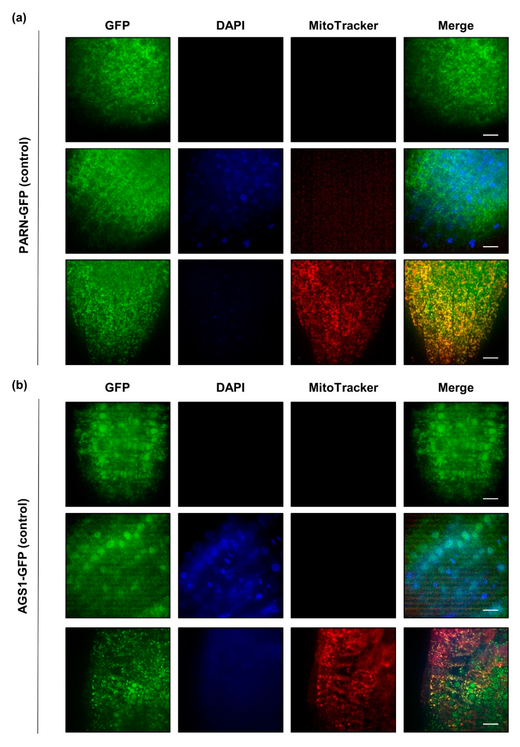Plants 08 00380 g003