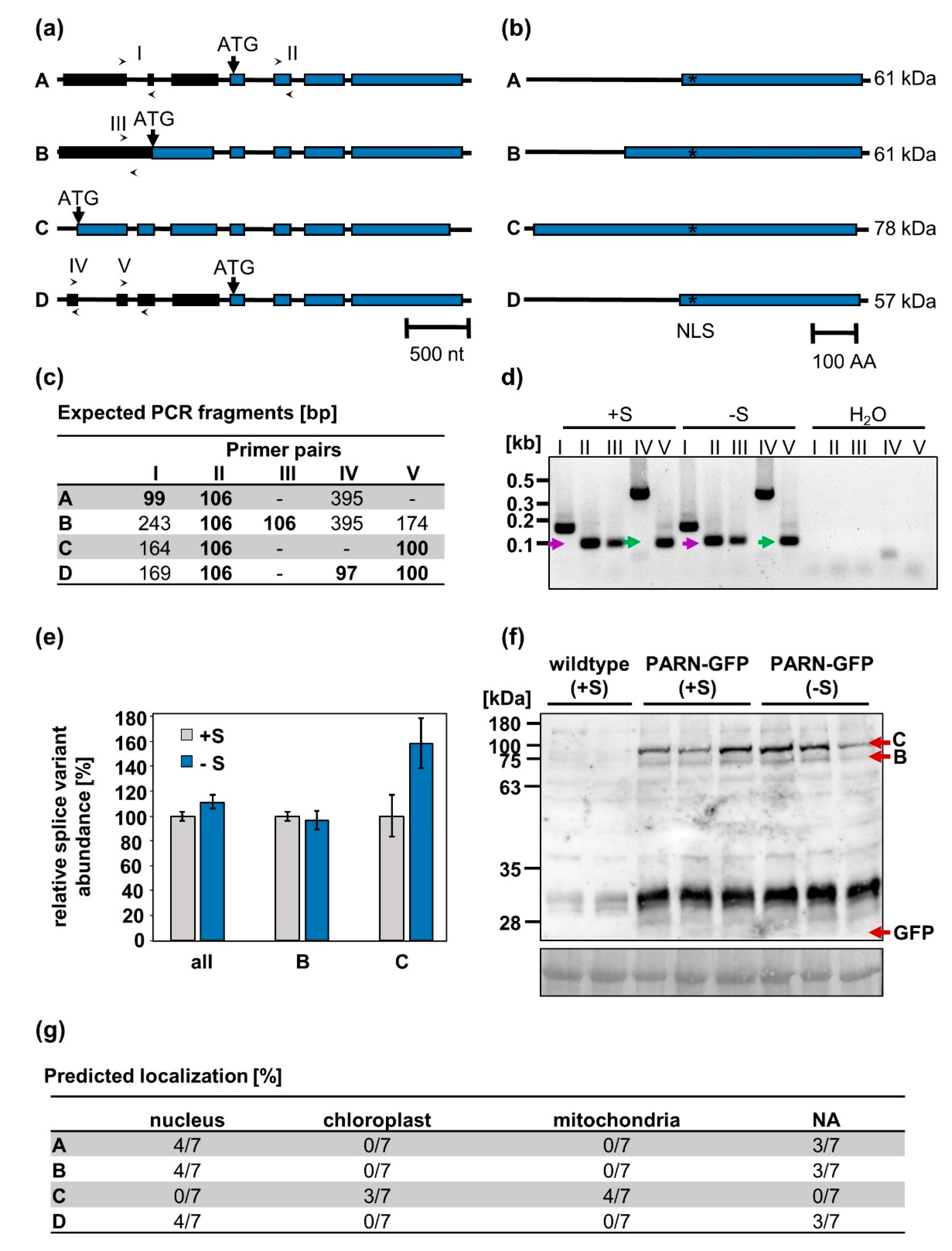 Plants 08 00380 g004