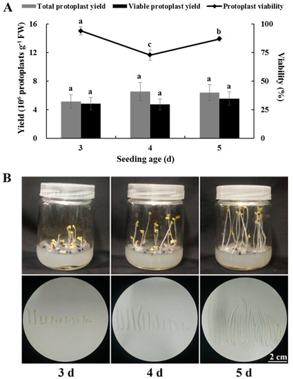 An Efficient and Economical Protocol for Isolating