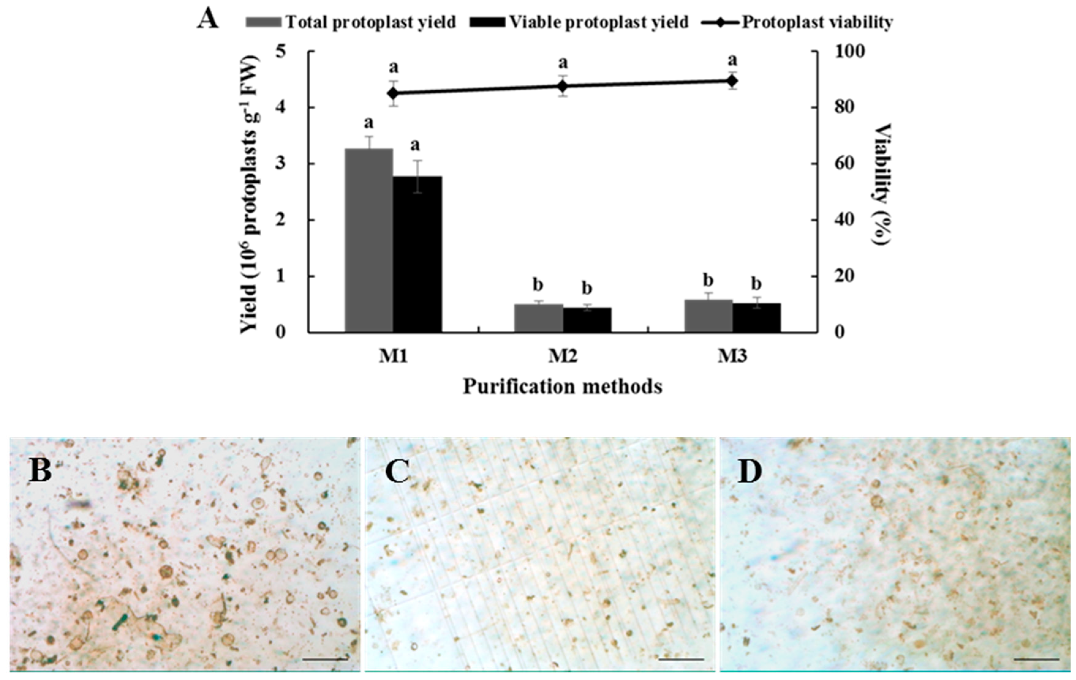 Plants 08 00385 g005