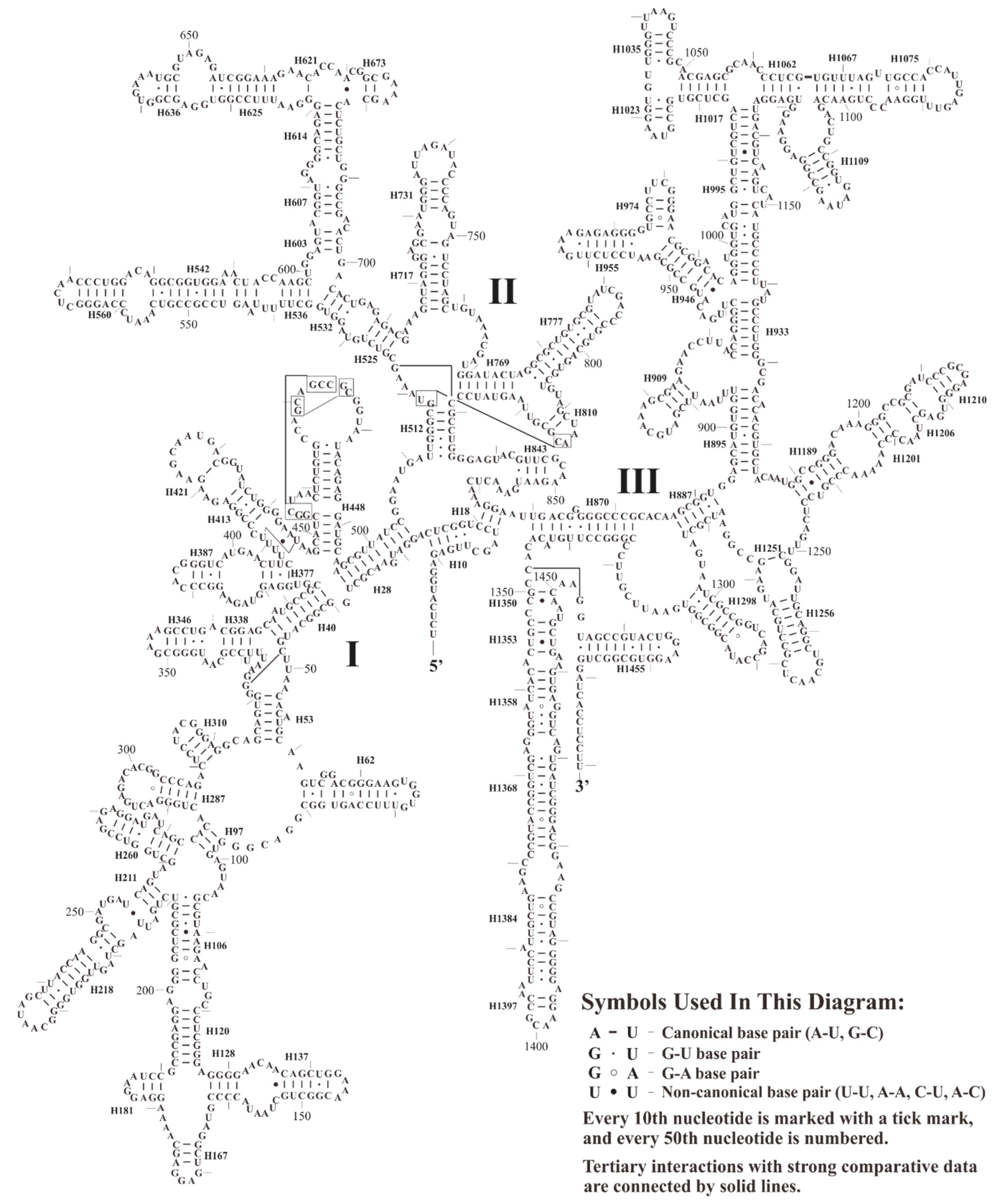 Plants 08 00386 g002 Plants 08 00386 g002