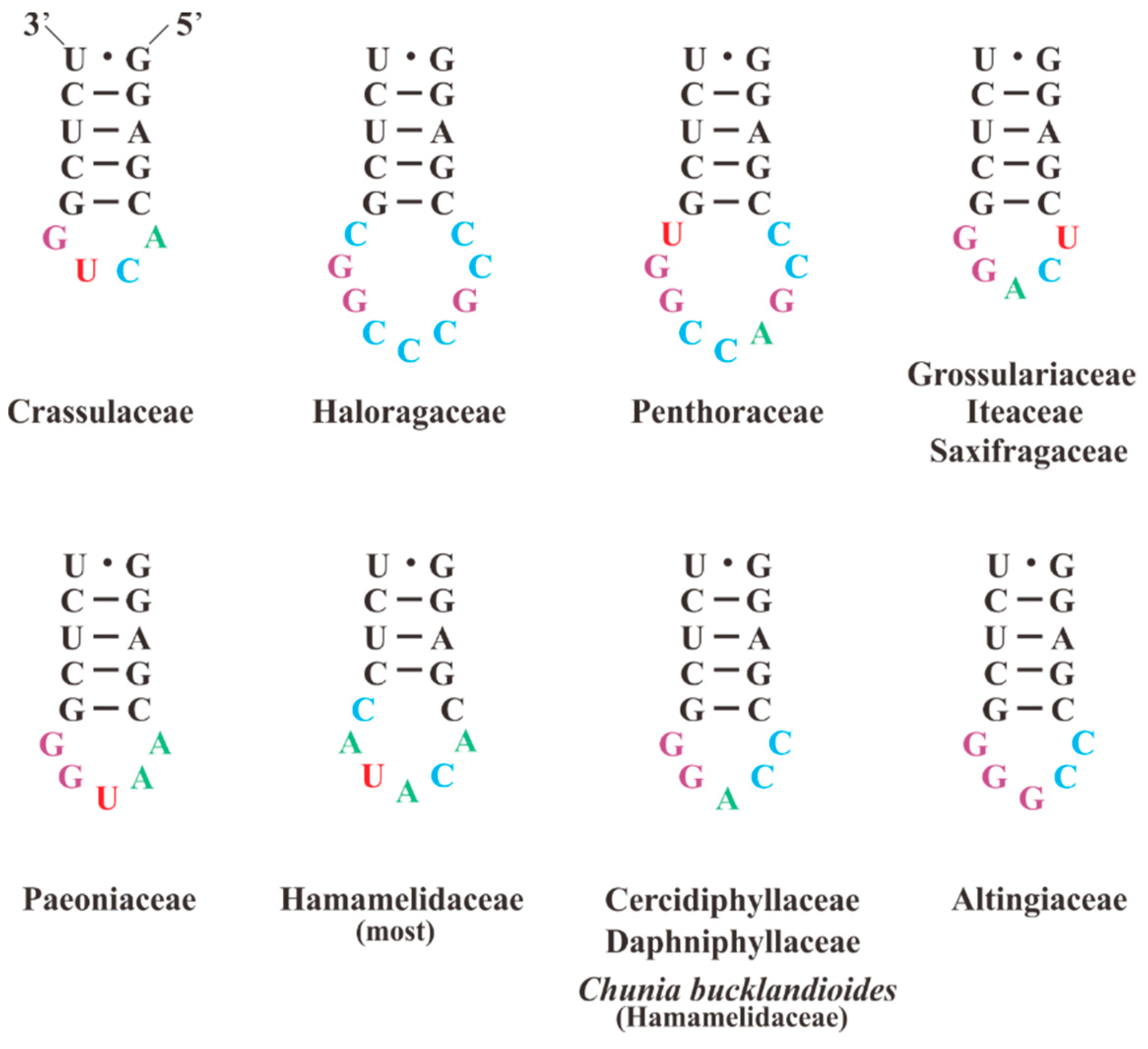 Plants 08 00386 g004 Plants 08 00386 g004