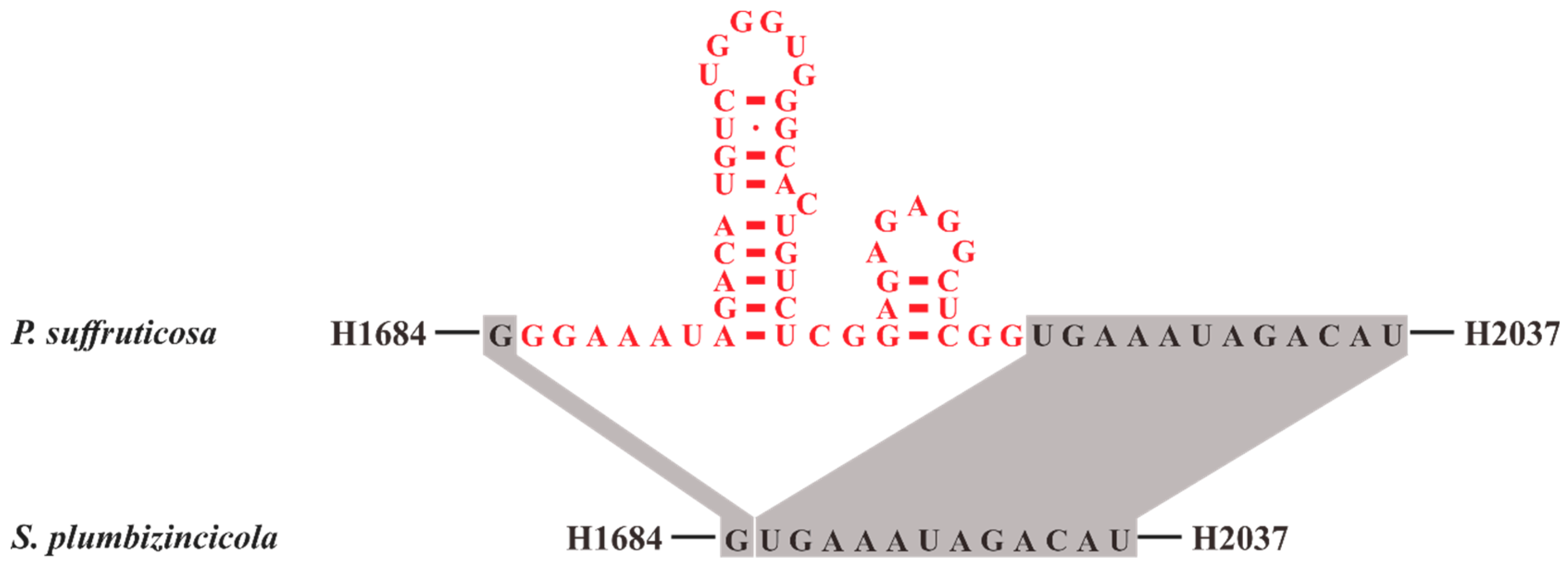 Plants 08 00386 g005 Plants 08 00386 g005