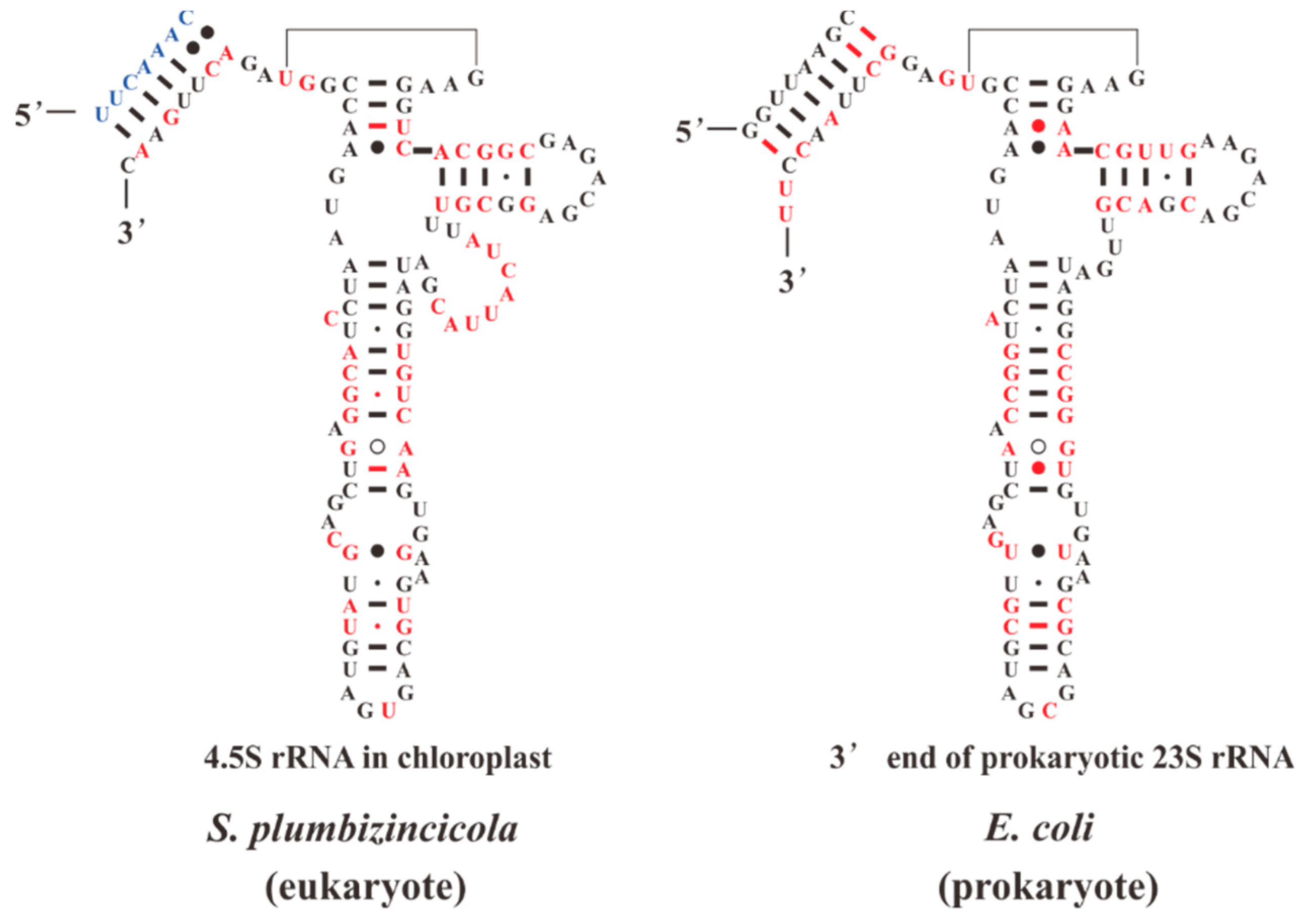 Plants 08 00386 g006 Plants 08 00386 g006
