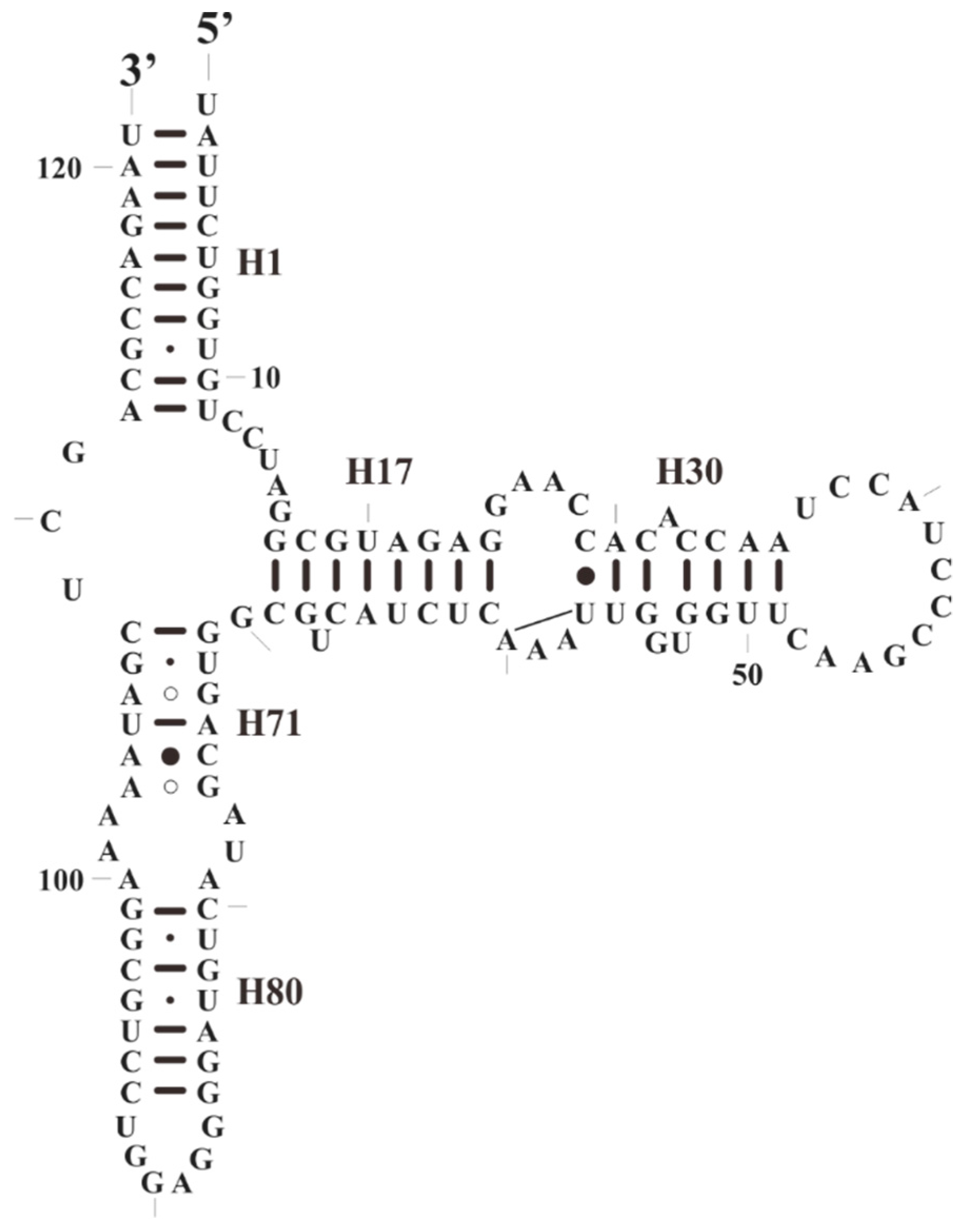 Plants 08 00386 g007 Plants 08 00386 g007