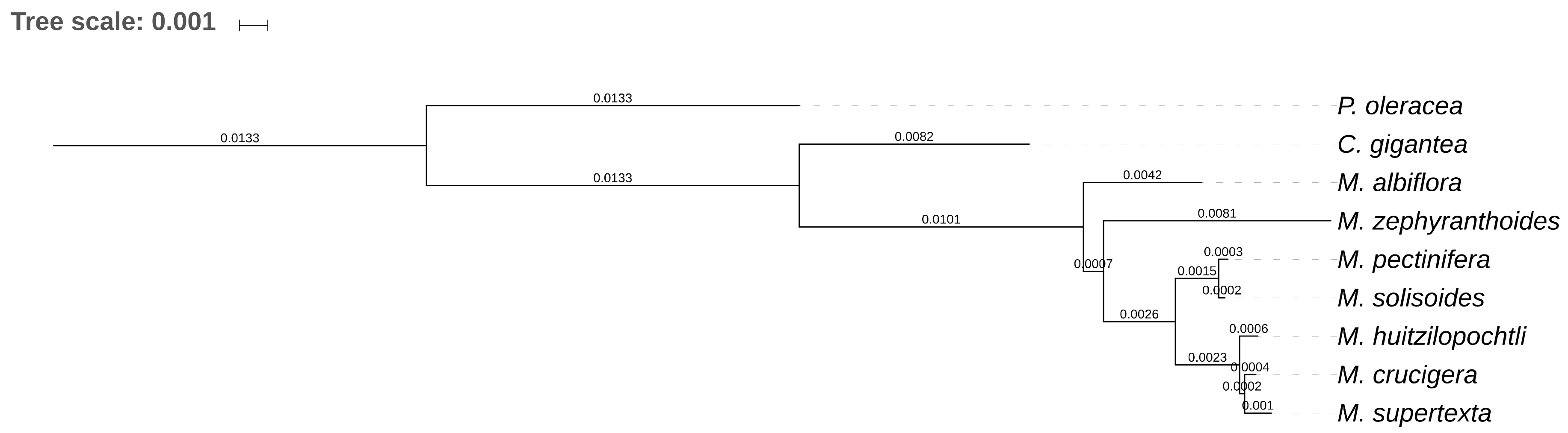 Plants 08 00392 g004