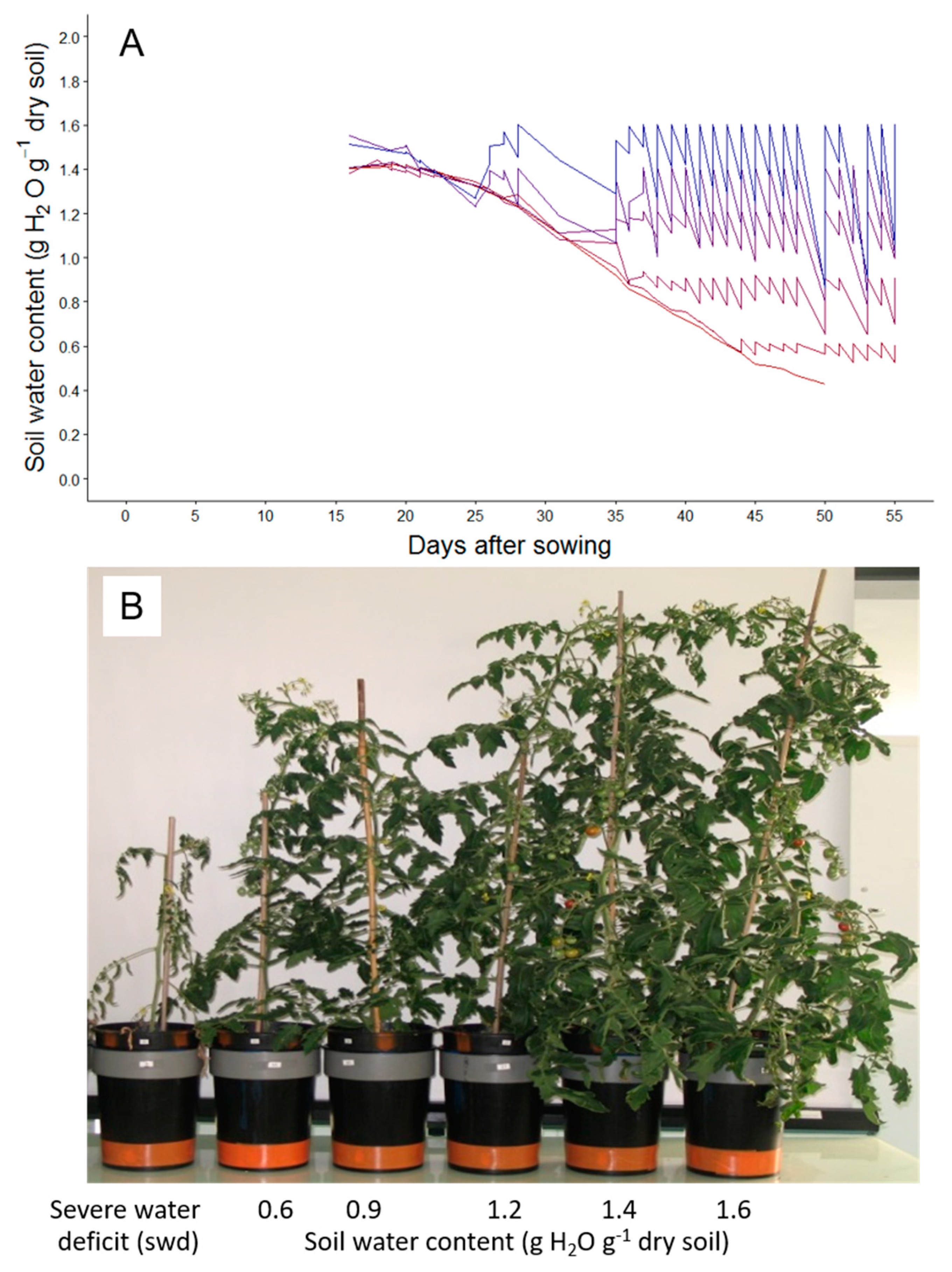 Plants 08 00409 g001