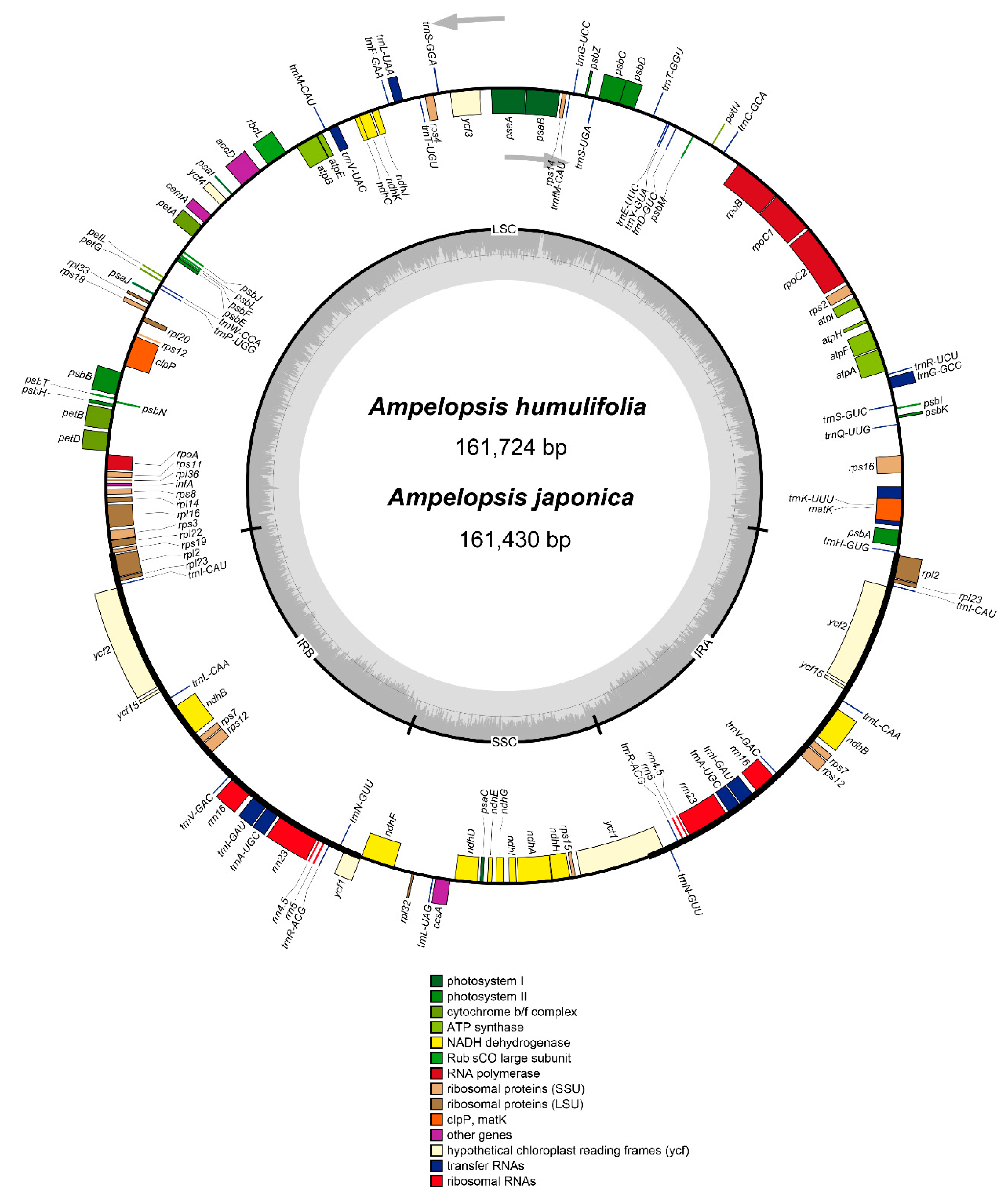 Plants 08 00410 g001