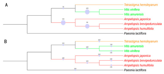 Bioinformatics for Plant Biotechnology | blogger.com bioinformatics paper plant research