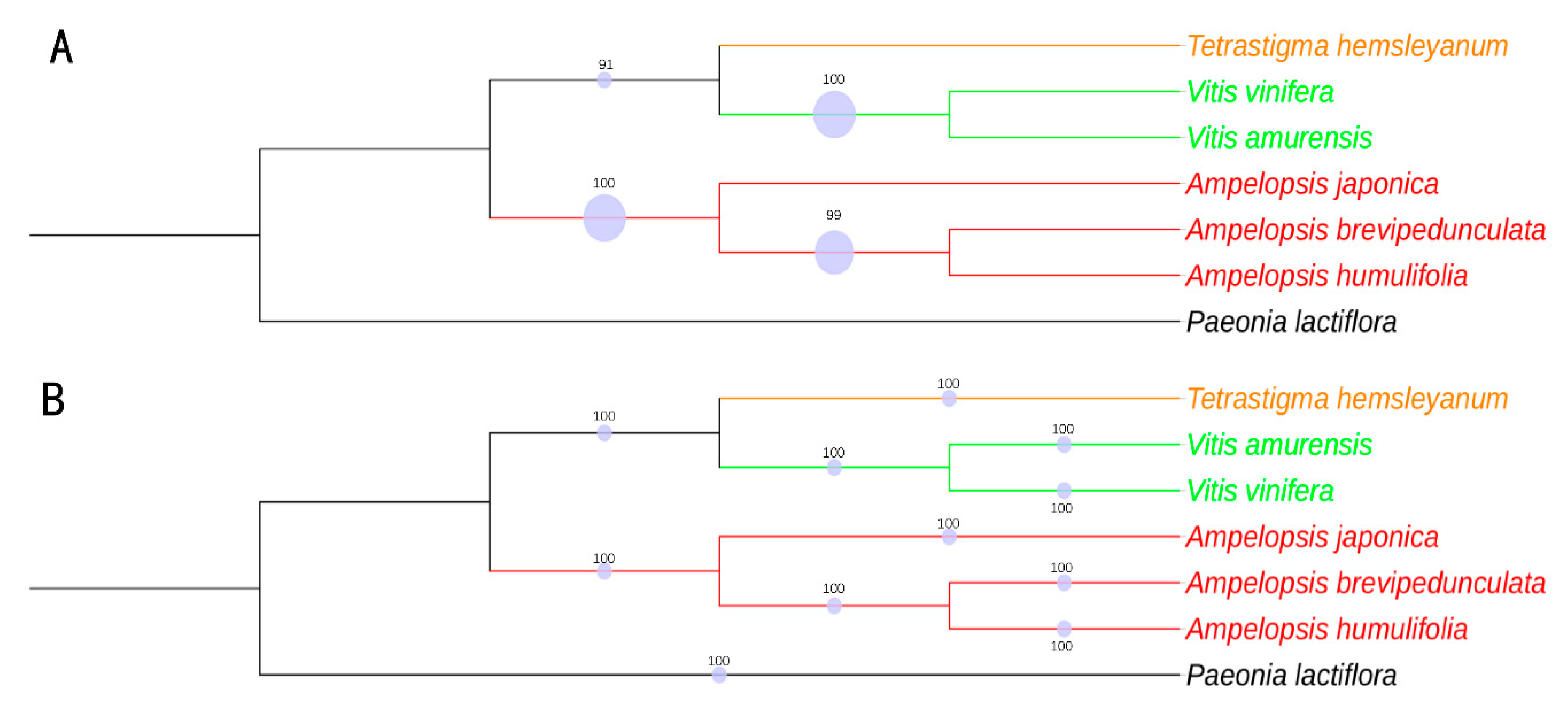 Plants 08 00410 g008