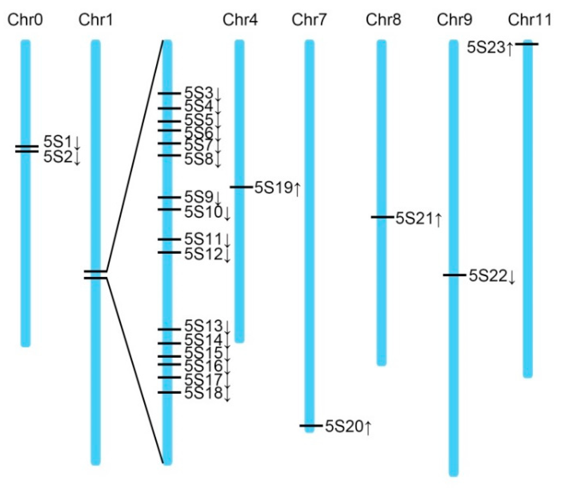 Plants 08 00419 g005 Plants 08 00419 g005