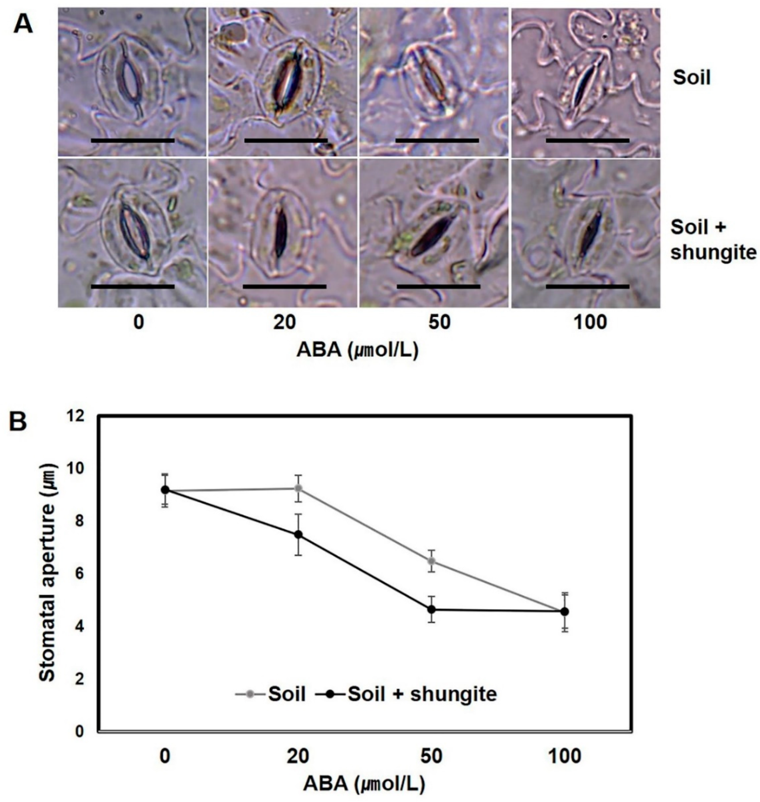 Plants 08 00446 g005 Plants 08 00446 g005