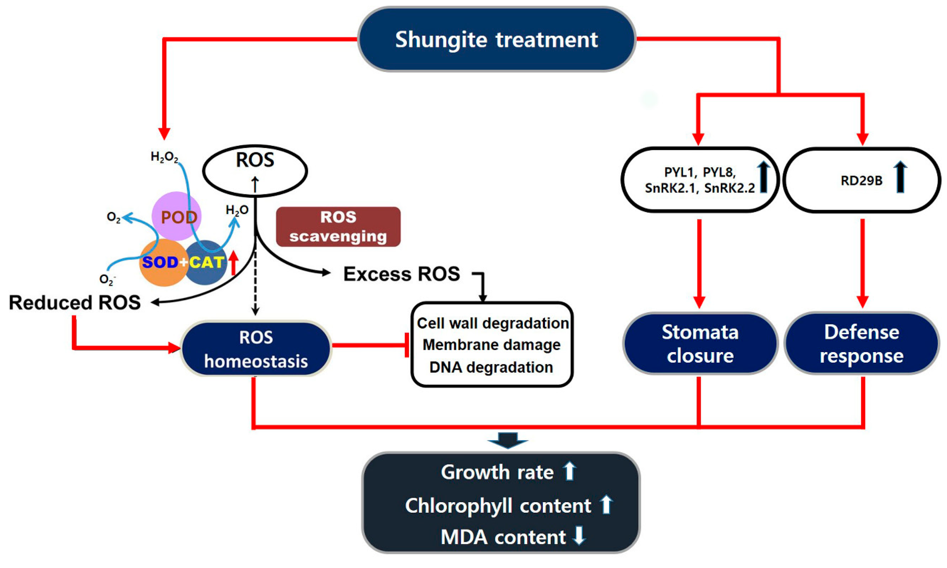 Plants 08 00446 g007 Plants 08 00446 g007