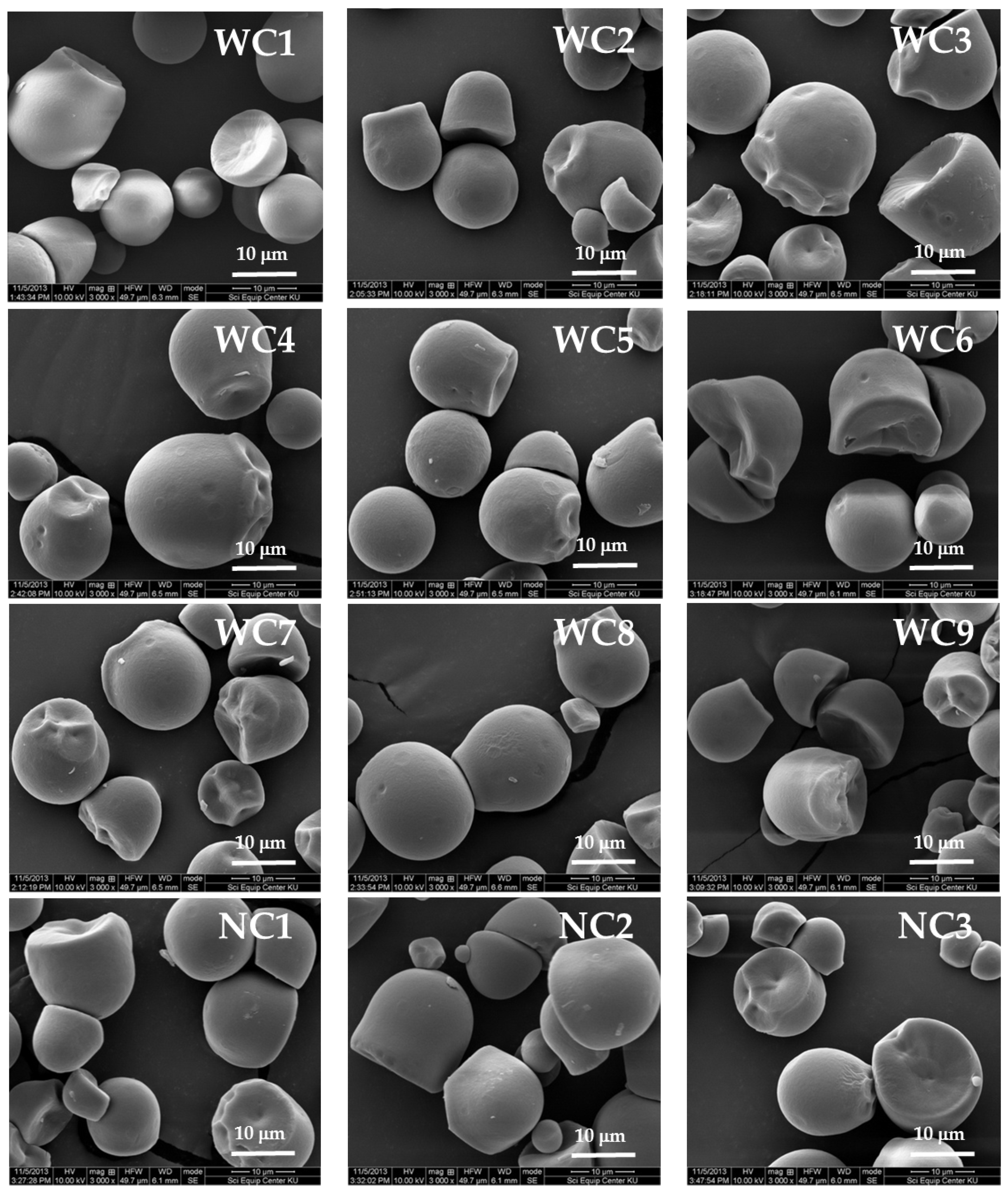 Plants 08 00447 g002 550