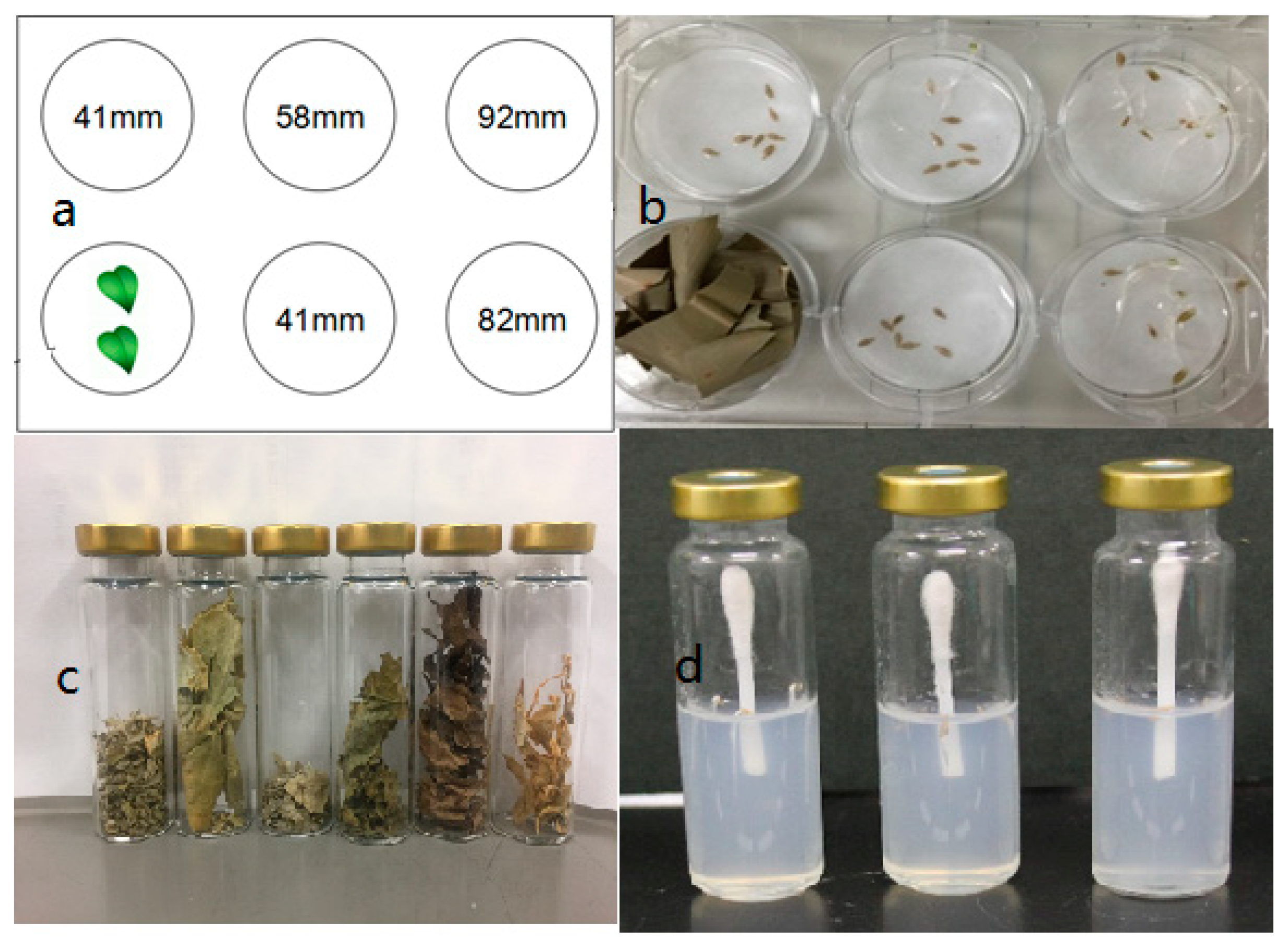 Plants 08 00457 g005 Plants 08 00457 g005