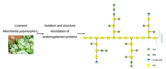 Cell and Developmental Biology of Arabinogalactan-Proteins