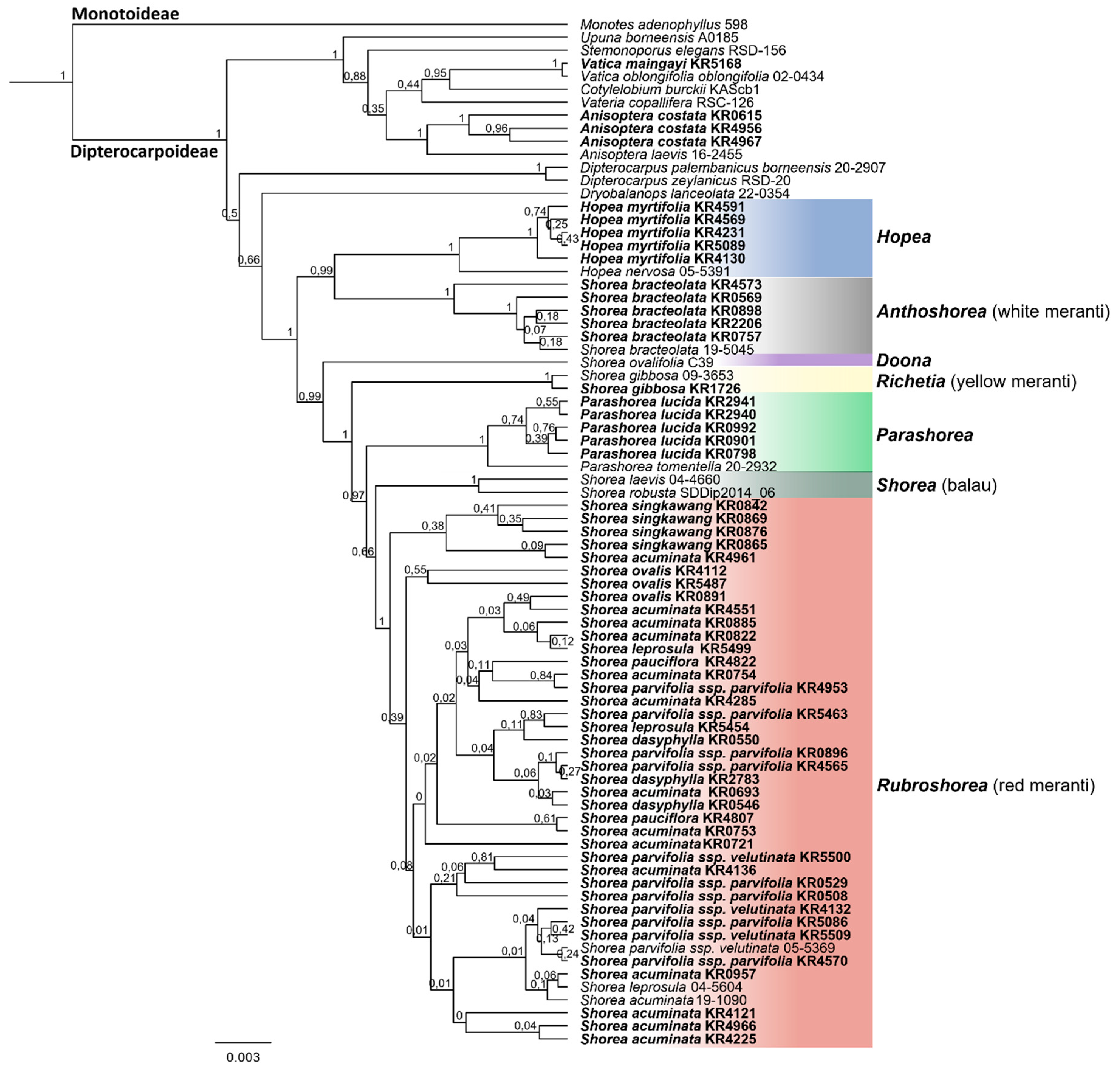 Plants 08 00461 g003