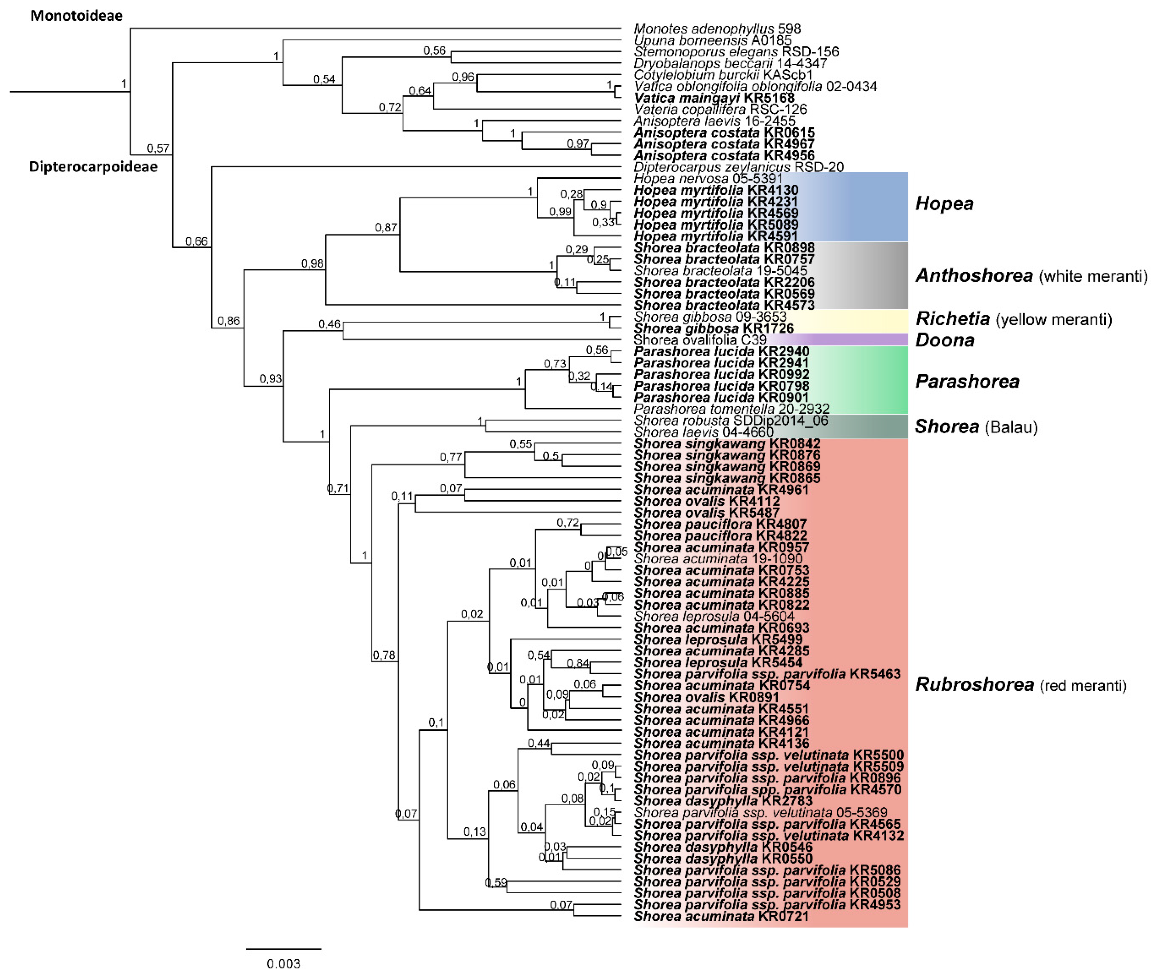Plants 08 00461 g004