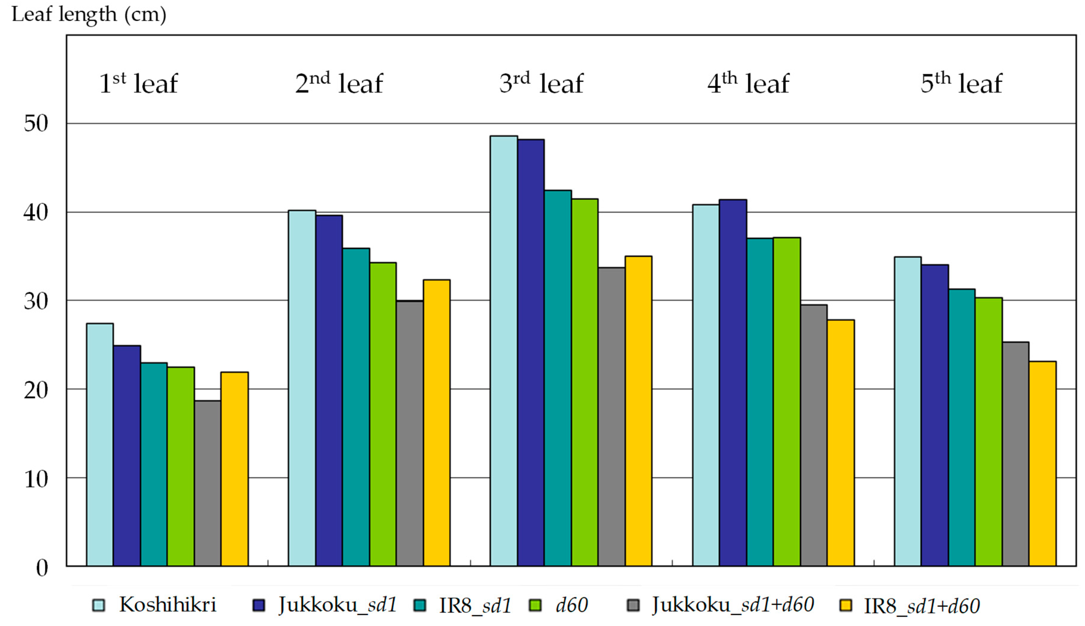 Plants 08 00464 g002
