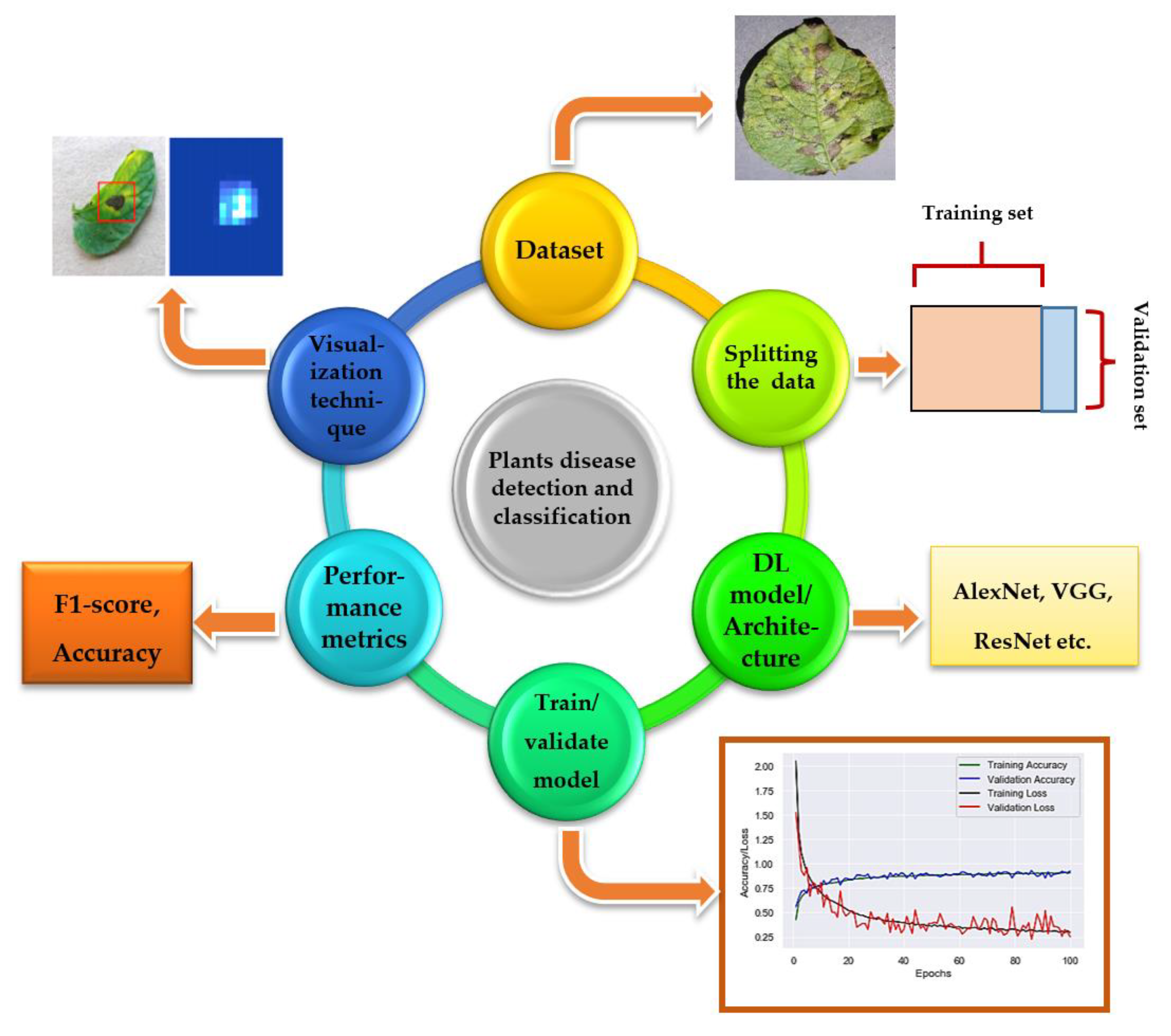 Plant Disease Detection Using The Plantdoc Dataset And Pytorch Vrogue