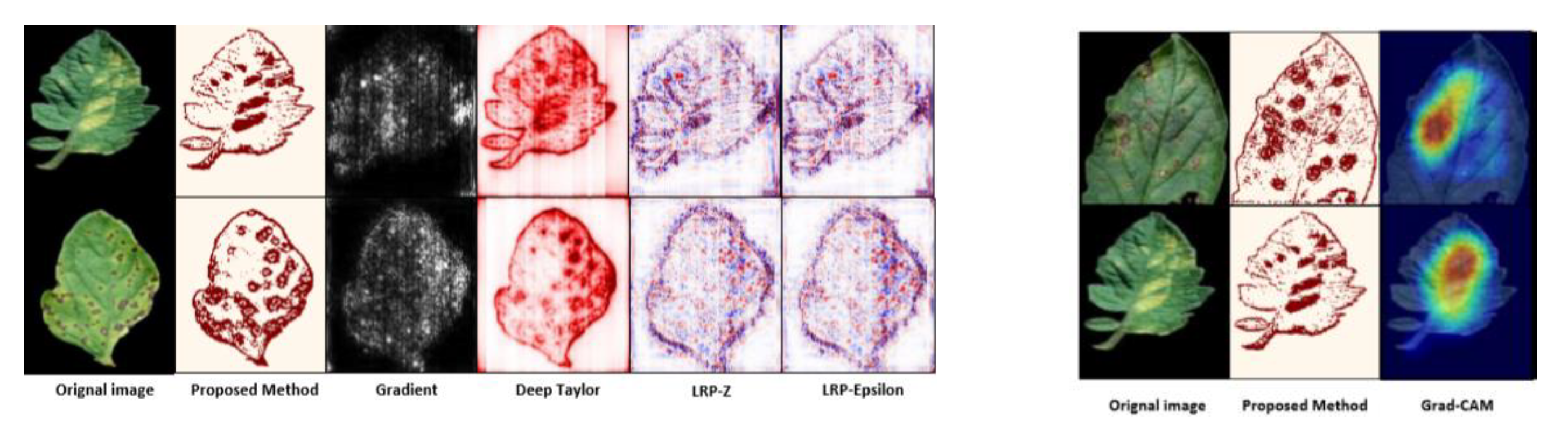 Plants 08 00468 g009