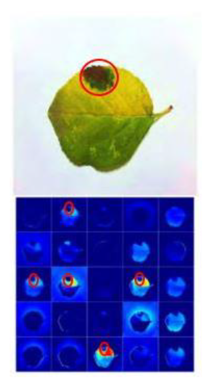 Plants 08 00468 g010