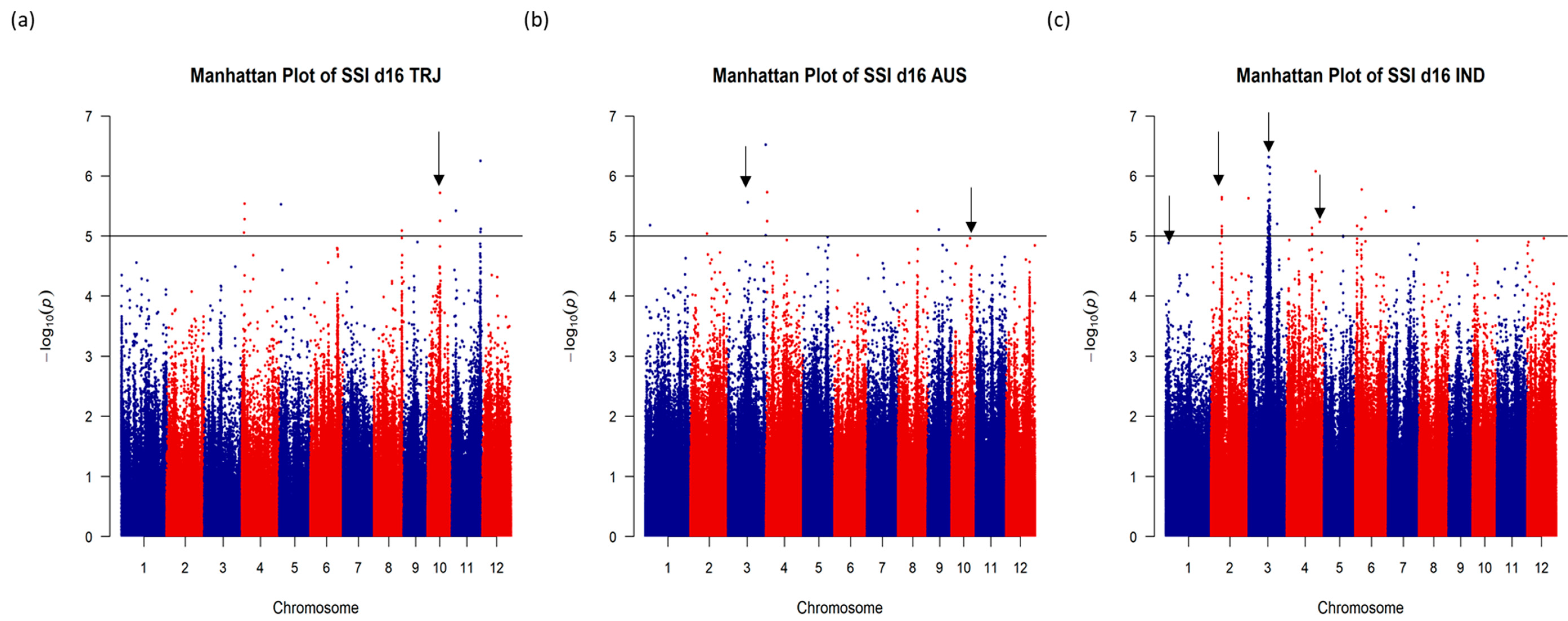 Plants 08 00472 g002 Plants 08 00472 g002