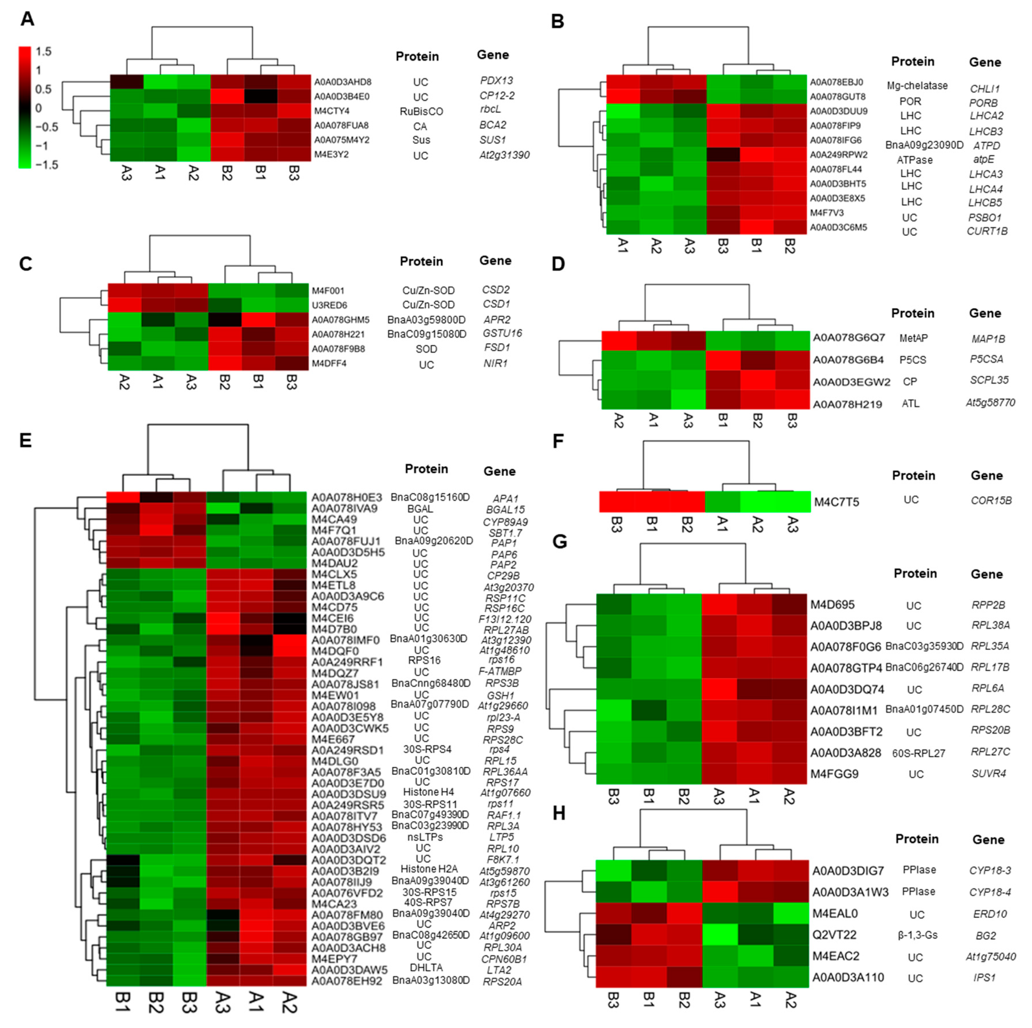 Plants 08 00474 g004